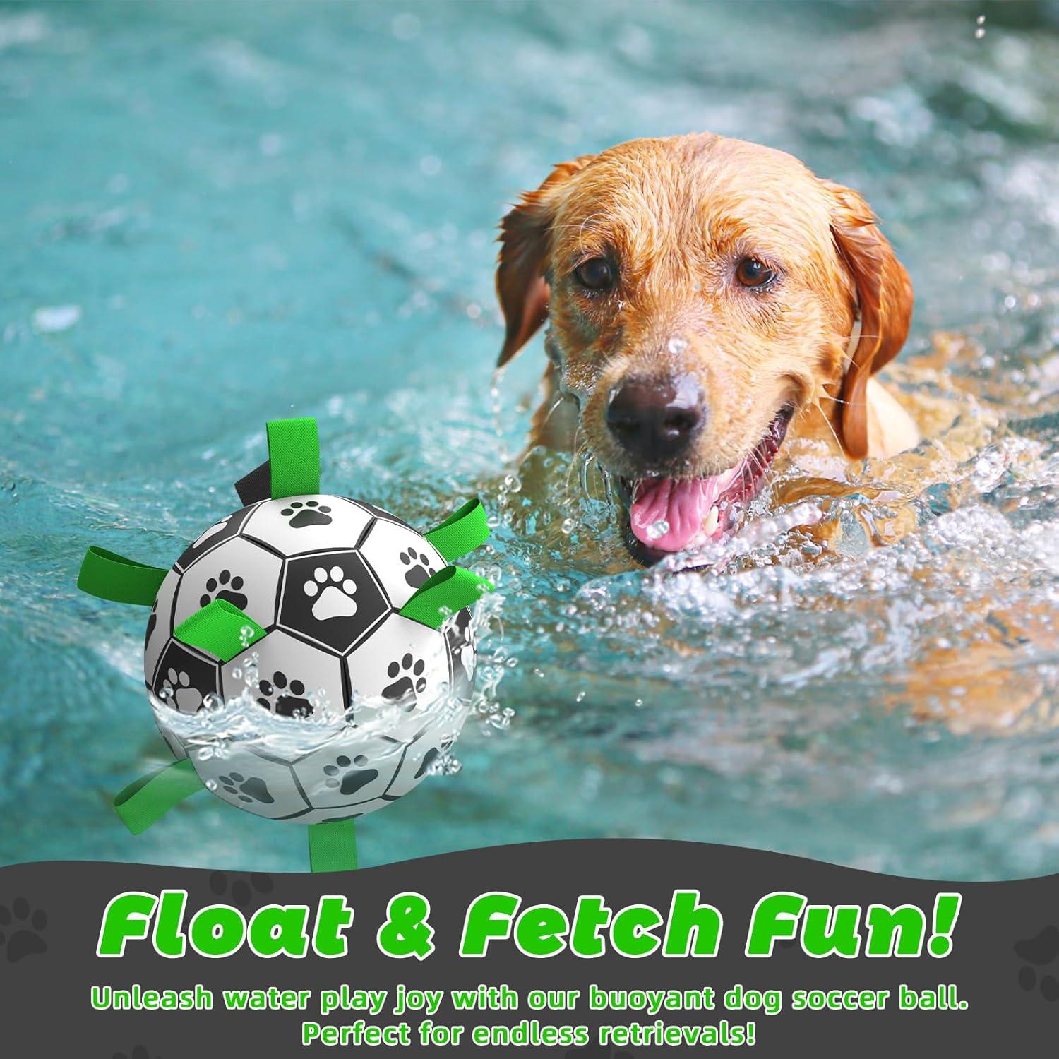 Balón de Fútbol QDAN para Perros Mediano 20 cm Interactivo