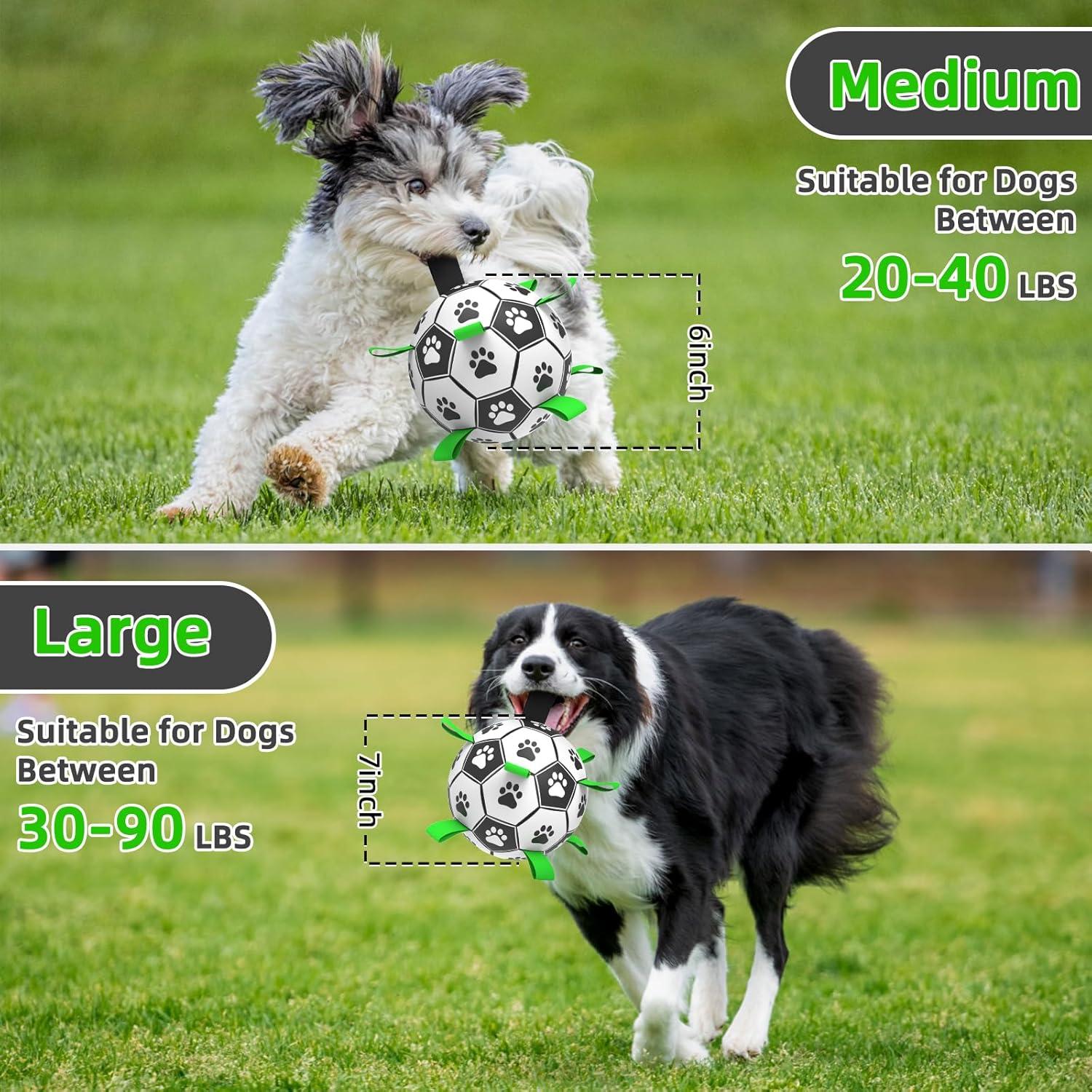 Balón de Fútbol QDAN para Perros Mediano 20 cm Interactivo