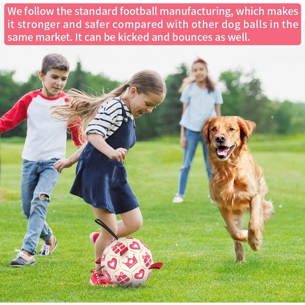 Pelota de Fútbol QDAN Rosa para Perros Medianos y Grandes