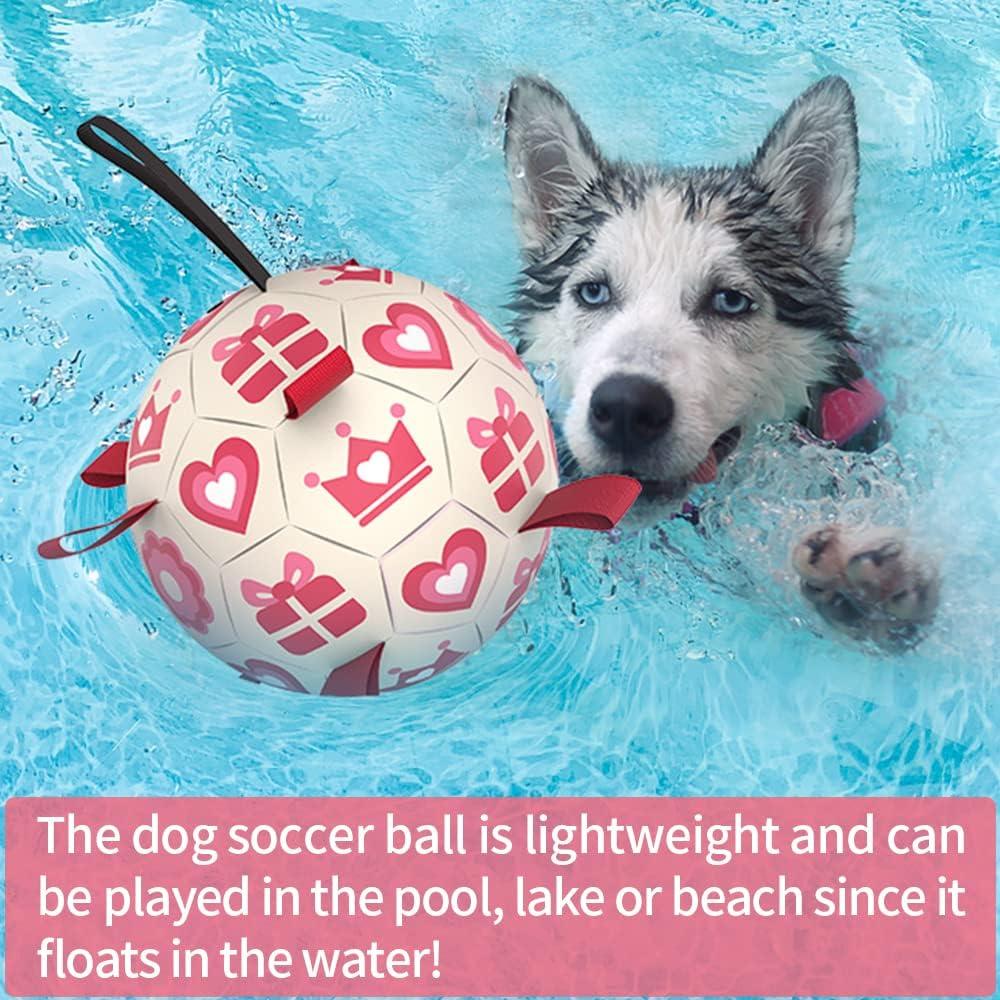 Pelota de Fútbol QDAN Rosa para Perros Medianos y Grandes