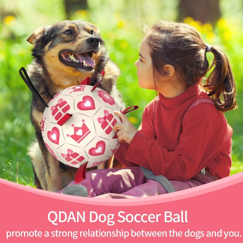 Pelota de Fútbol QDAN Rosa para Perros Medianos y Grandes