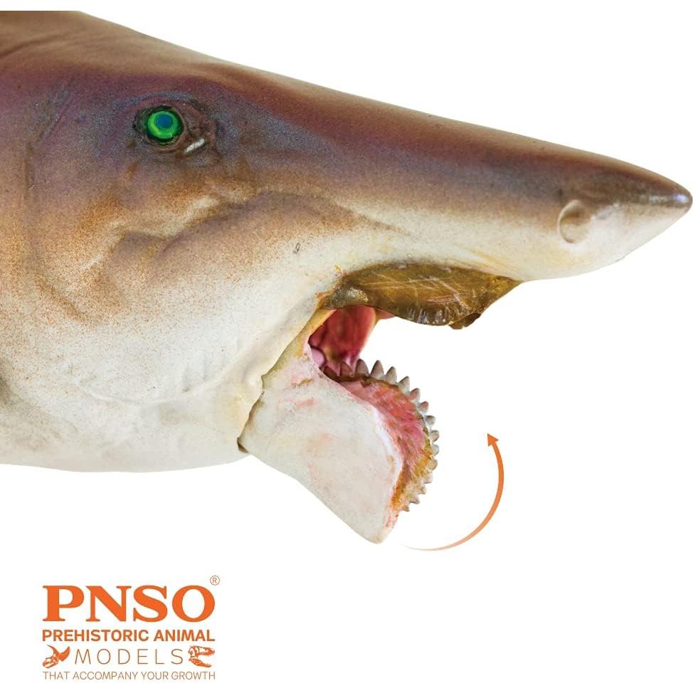 Modelo Prehistórico PNSO 43 Haylee El Helicoprion 25cm