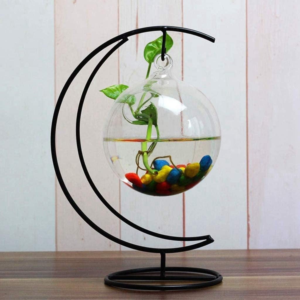 Soporte de Exhibición Archi para Decoración de Hogar 25 cm