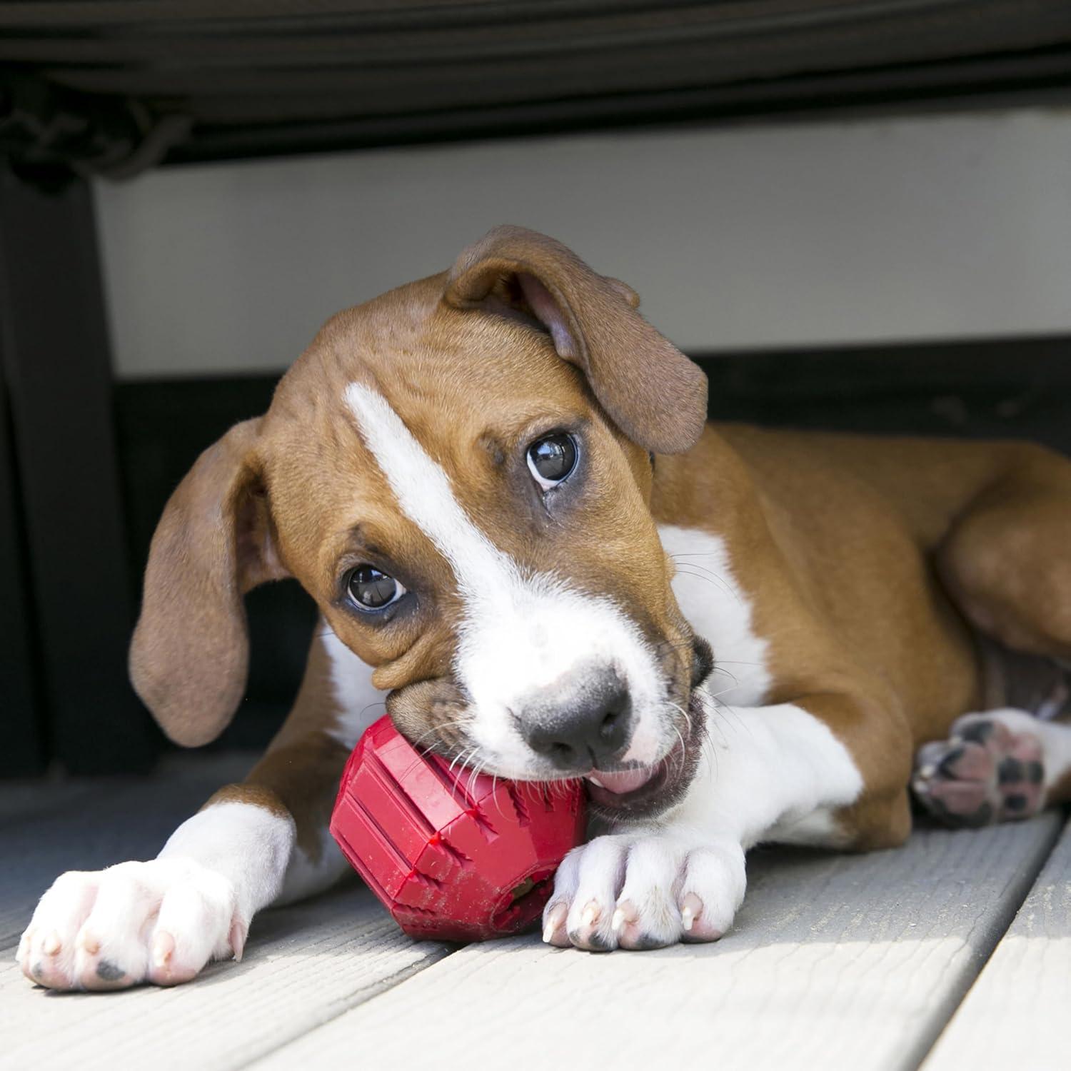 Juguete para Perros KONG Tires Grande - Caucho Duradero 11.43cm