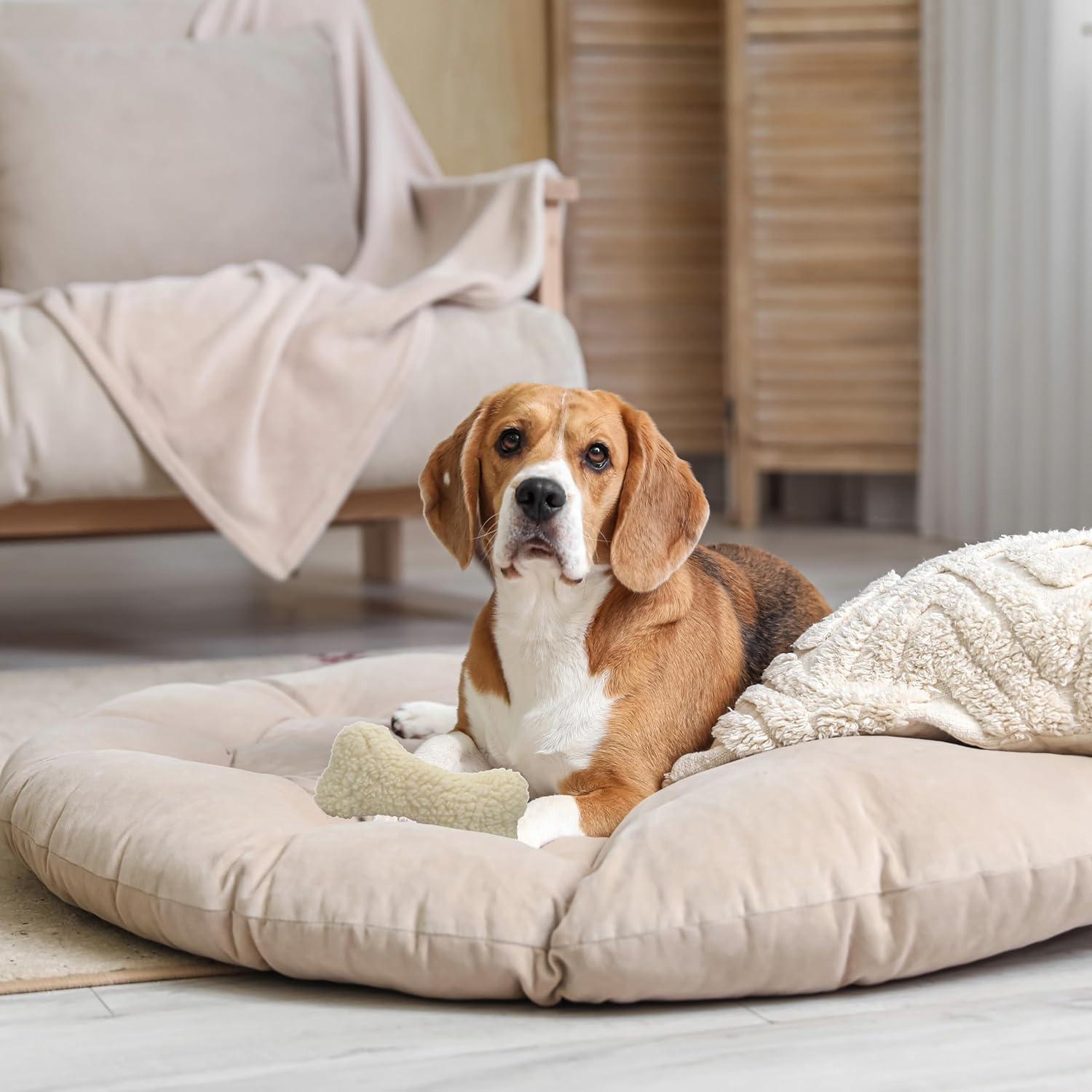 Juguete para Perros Hueso de Peluche SPOT 22.86 cm Squeaker