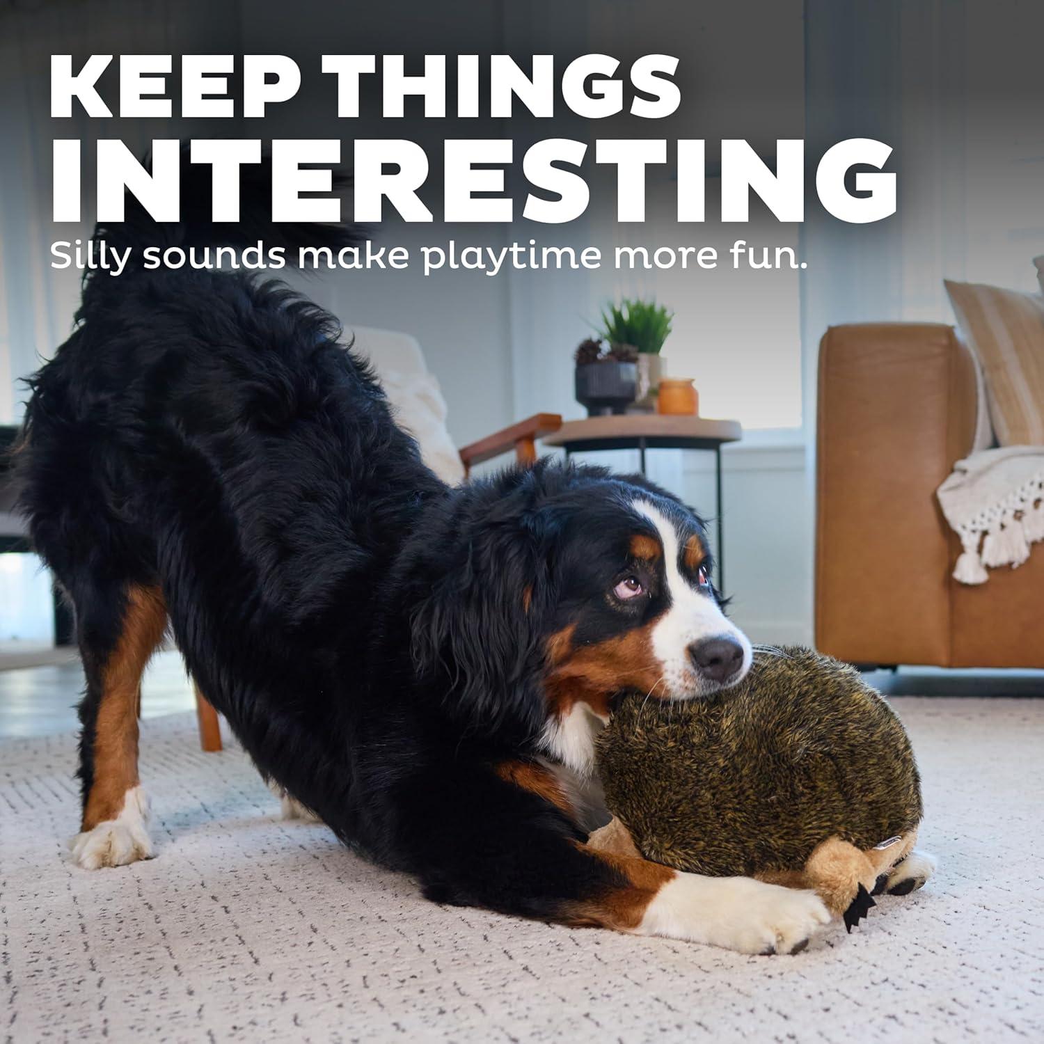 Juguete de Peluche Erizo Outward Hound XL para Perros