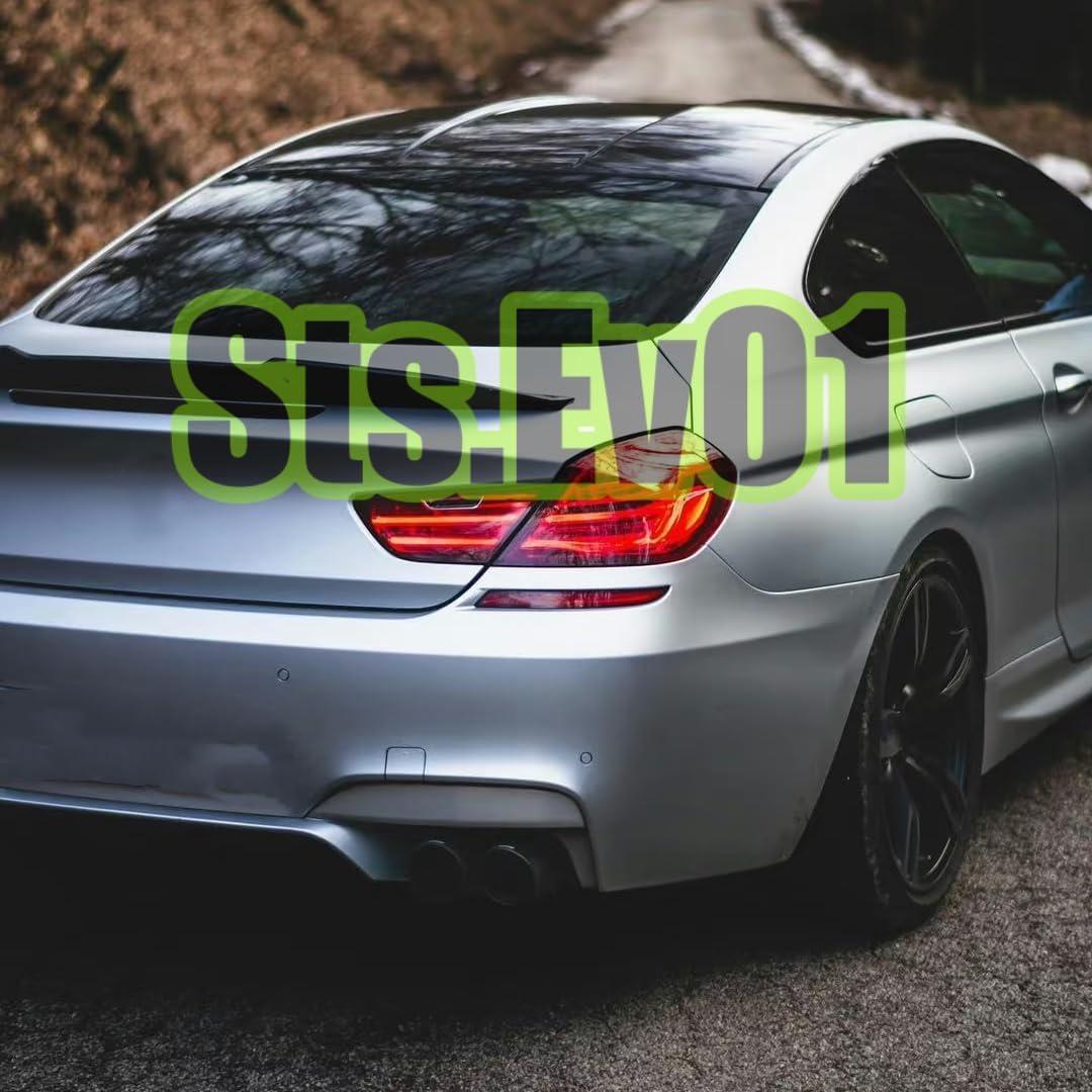 Ala Trasera STSEV01 para BMW Serie 6 F06/F13 2012-2019