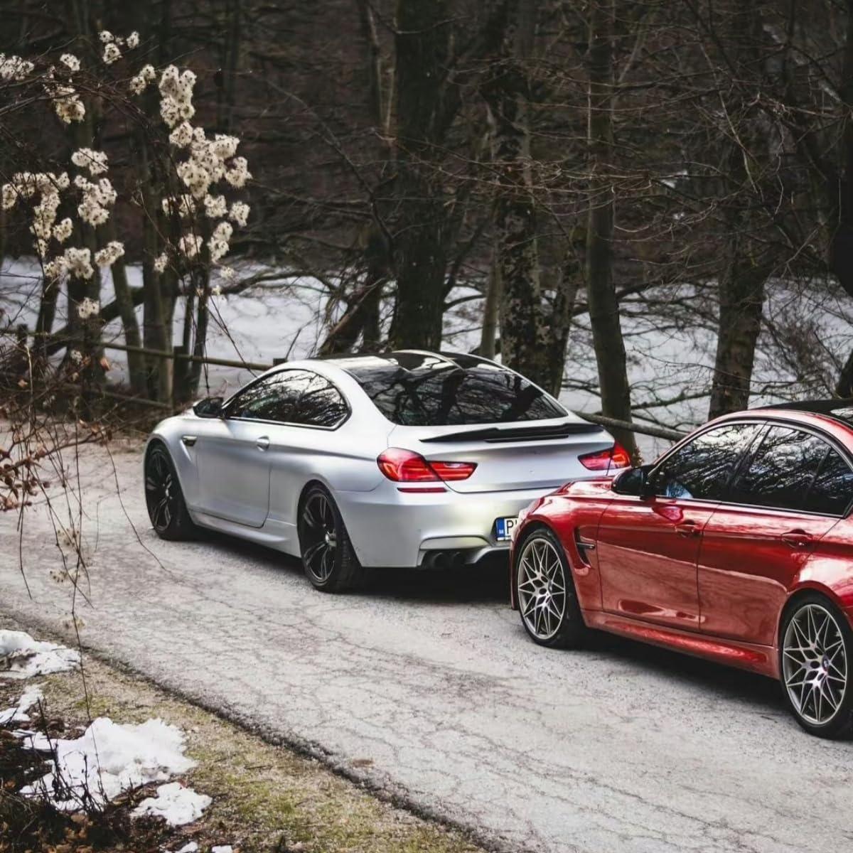 Ala Trasera STSEV01 para BMW Serie 6 F06/F13 2012-2019