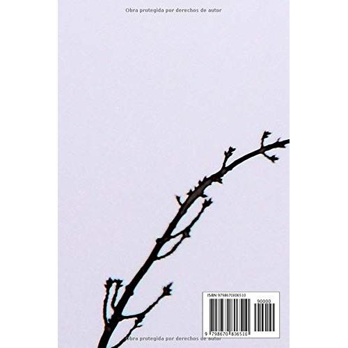 El Cuervo (Spanish Edition): Edgar Allan Poe