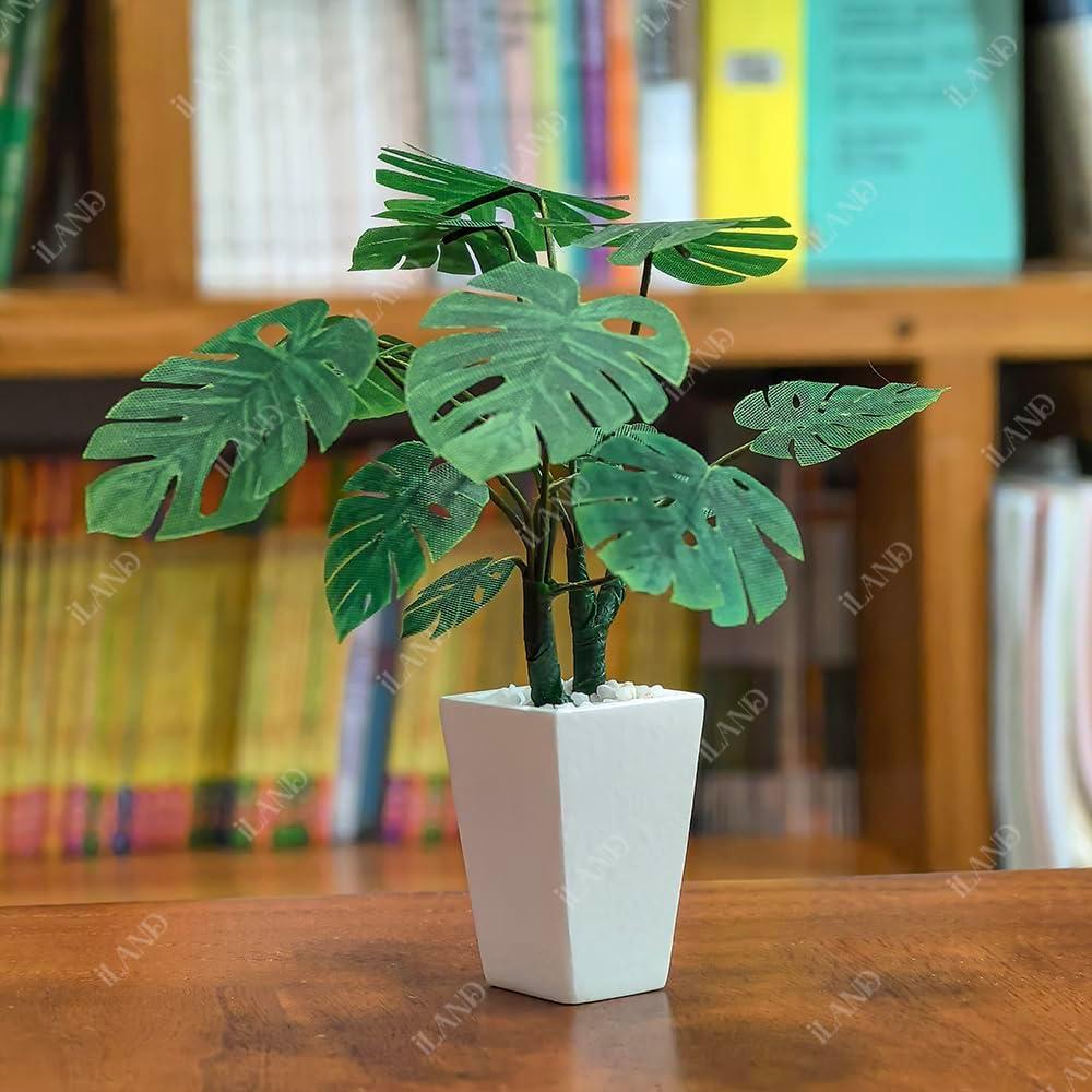 Kit de Plantas en Miniatura iLAND para Casa de Muñecas DIY