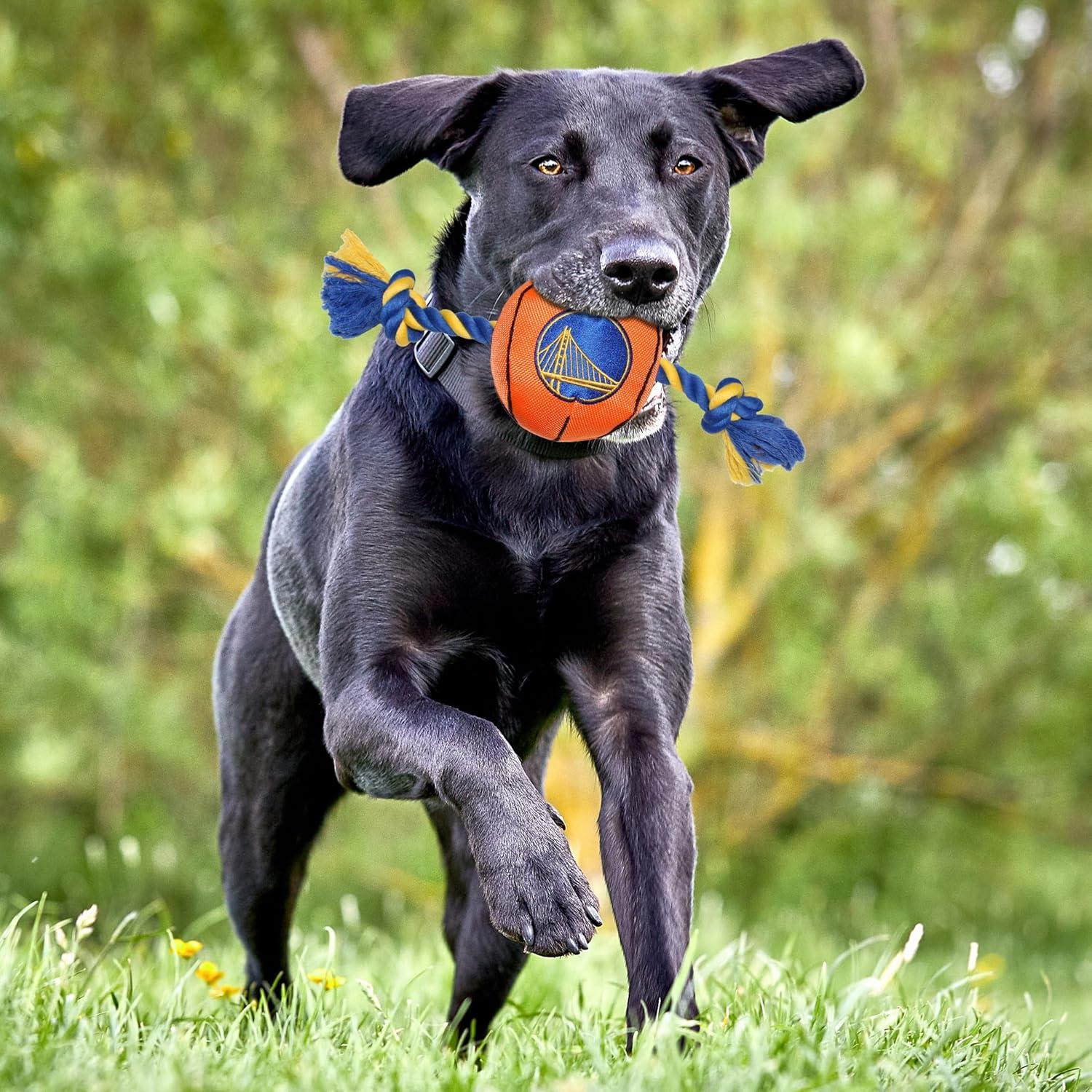 Juguete para mascotas NBA Golden State Warriors con cuerda