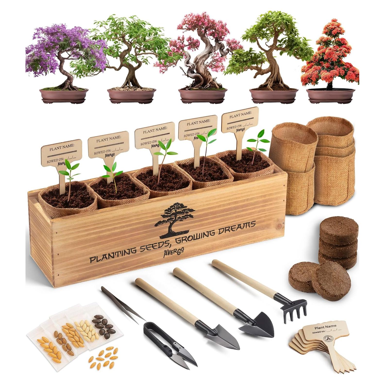 DIY Bonsai Tree Kit for Beginners – 5X Unique Japanese Bonzai Trees | Complete Indoor Bonsai Starter Kit for Growing Bonsai Plants with Tools & Planters – DIY Gardening Gifts for Women & Men