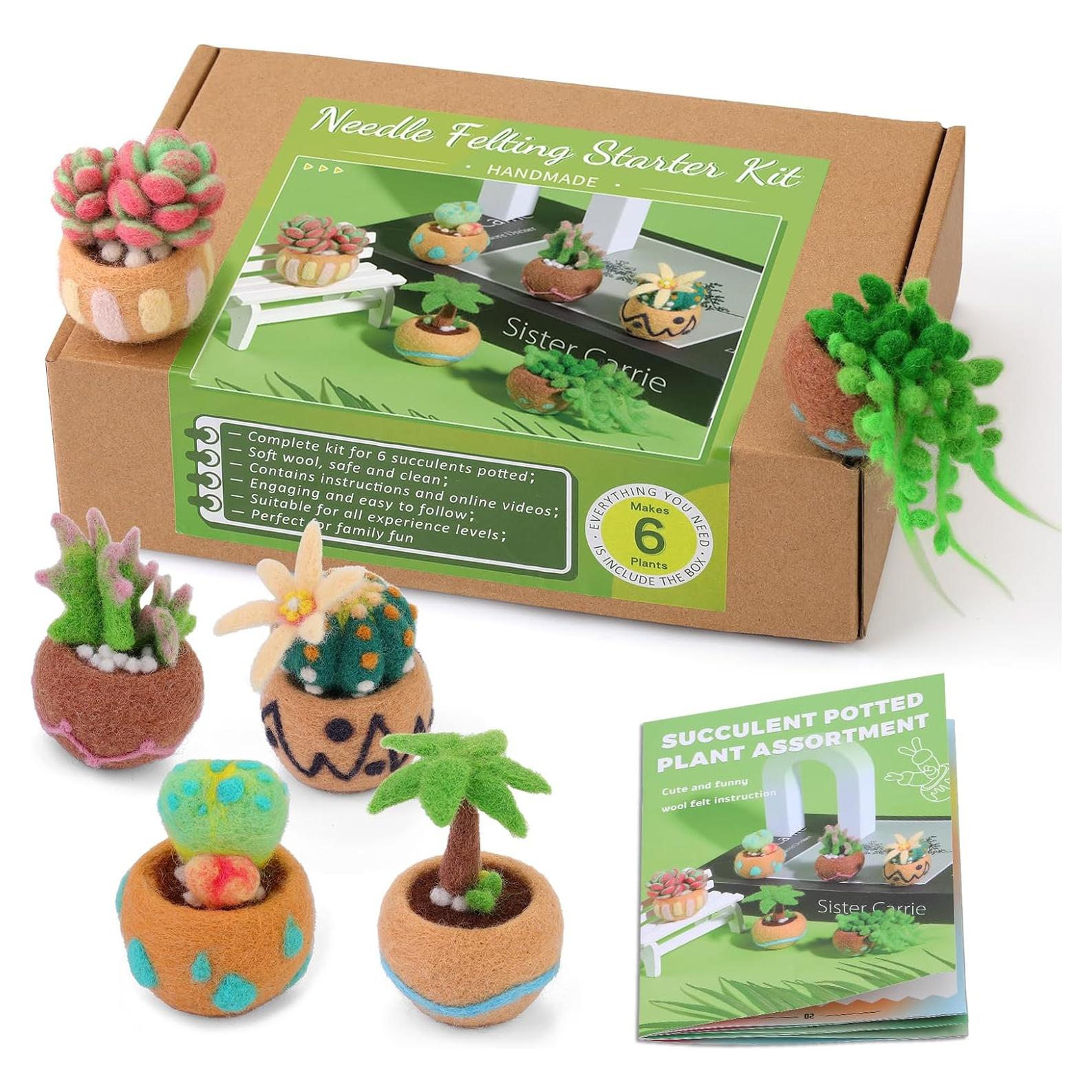 Kit de Fieltro Yizzvb 15 Piezas para Suculentas DIY