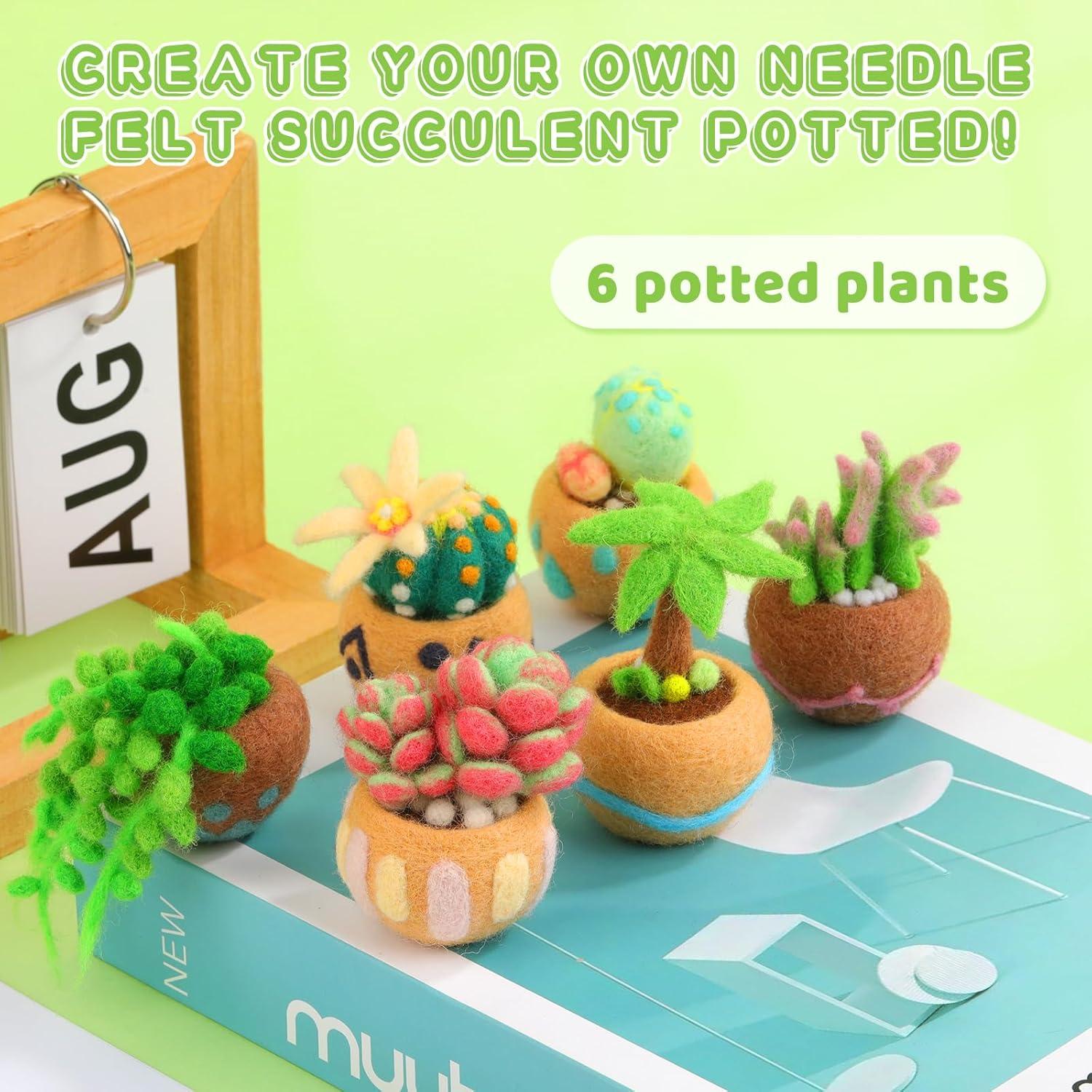 Kit de Fieltro Yizzvb 15 Piezas para Suculentas DIY