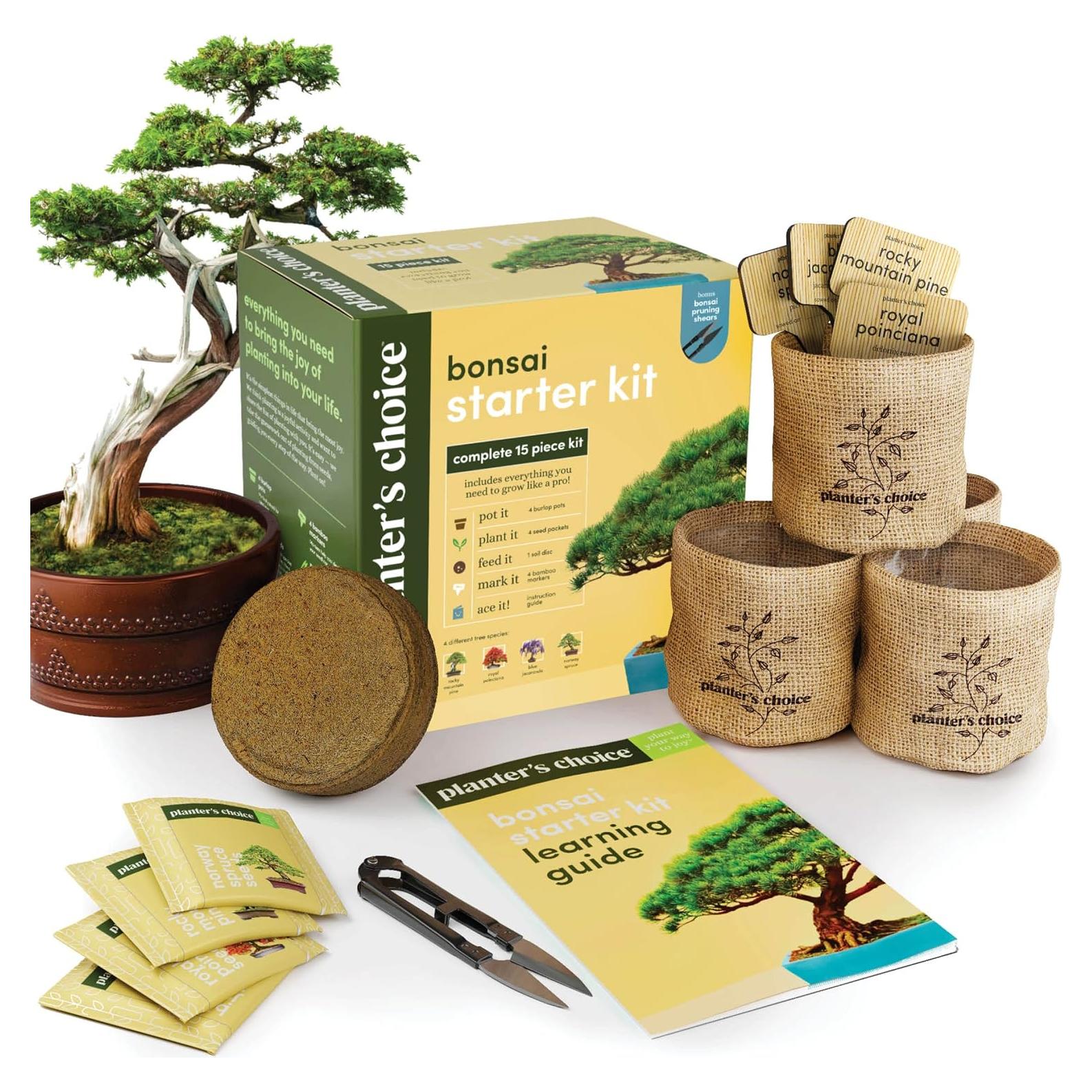 Kit de Bonsai Planters' Choice - Cultiva 4 Especies en Casa