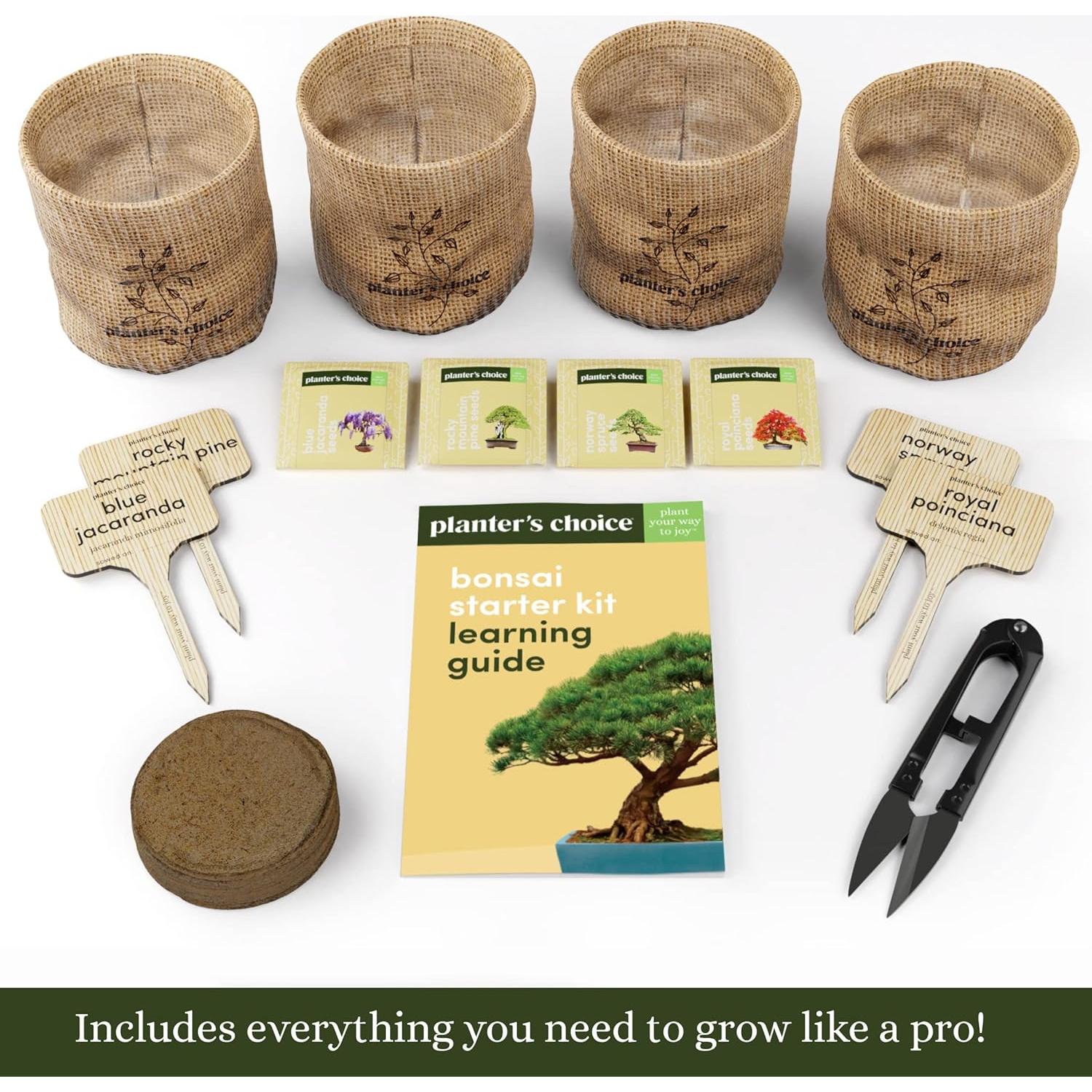 Kit de Bonsai Planters' Choice - Cultiva 4 Especies en Casa