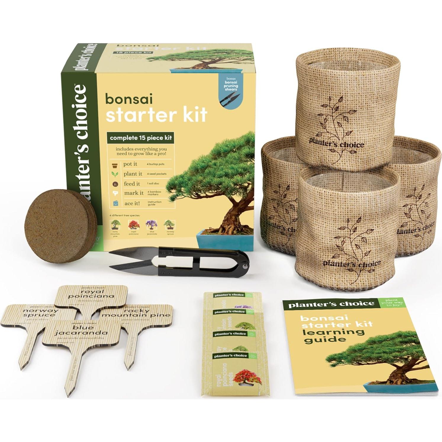 Kit de Bonsai Planters' Choice - Cultiva 4 Especies en Casa