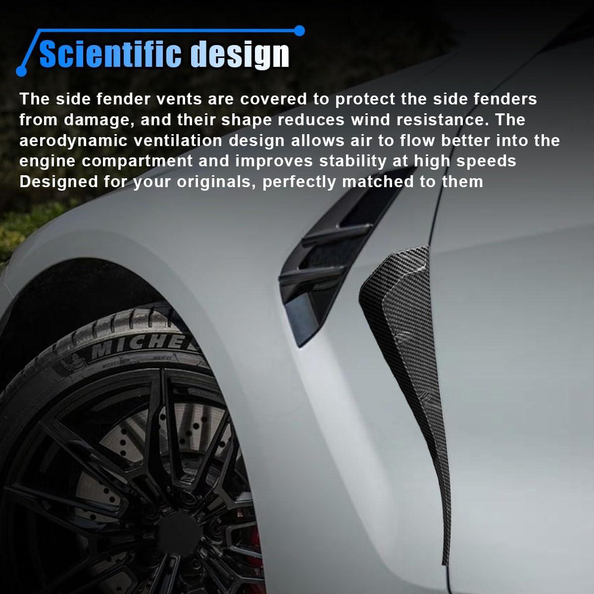 Calcomanía Lateral para Guardabarros LHDOS Fibra de Carbono 41.8x7.8cm