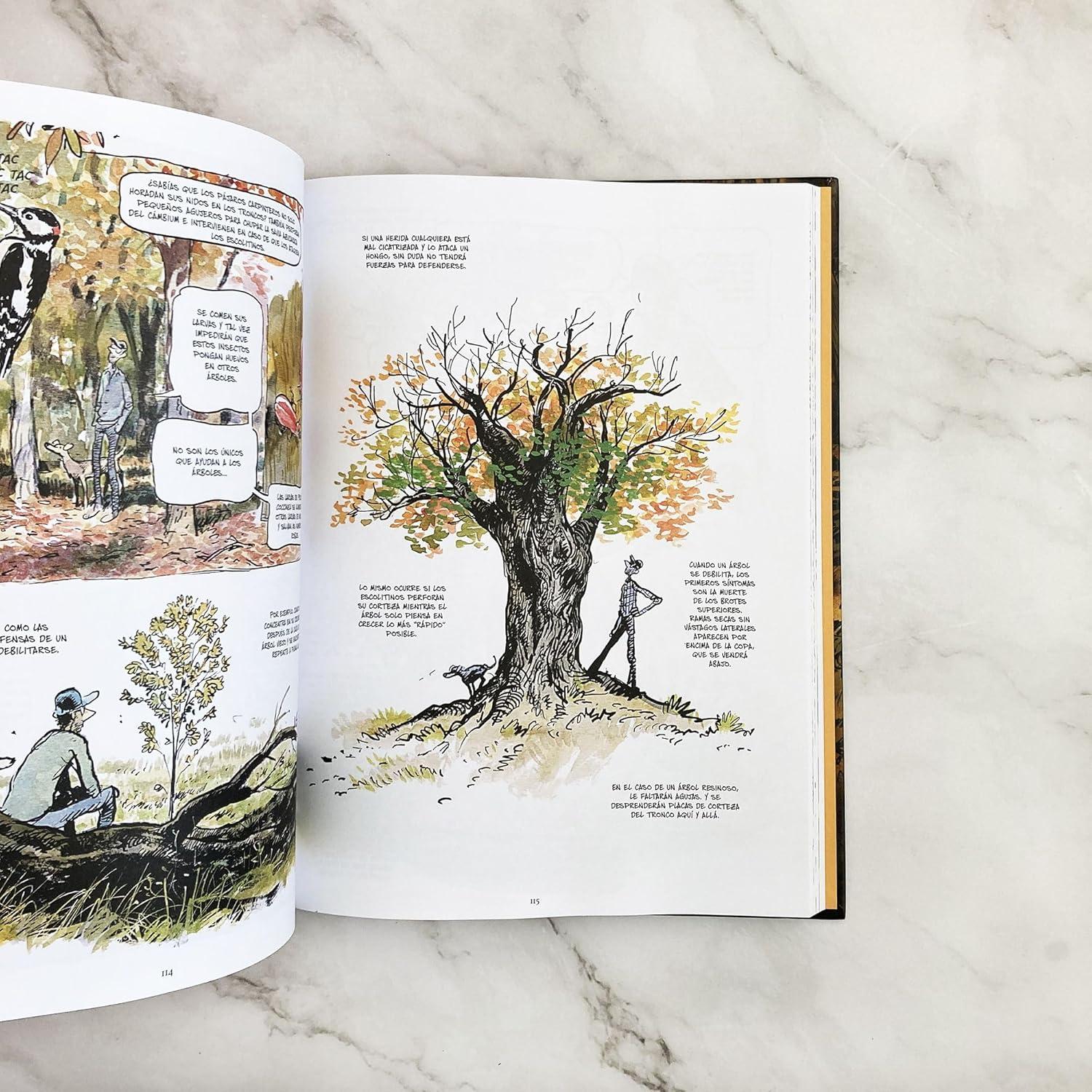 La vida secreta de los árboles