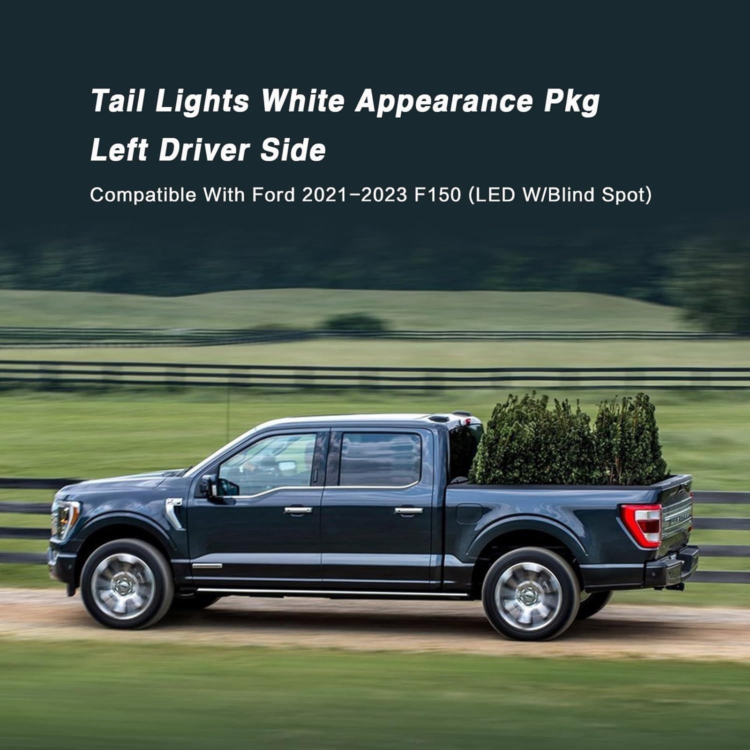 Luces Traseras LED STRAUTOS para Ford F150 2021-2023 Lado Izquierdo