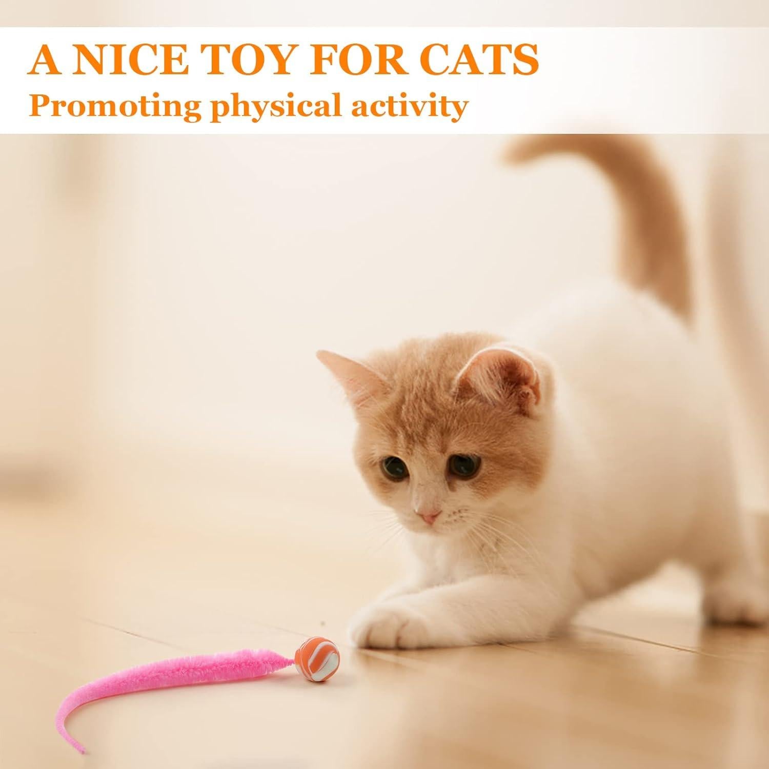 Juguete para Gatos SHENGSEN - 5 Pelotas Rebotadoras Coloridas