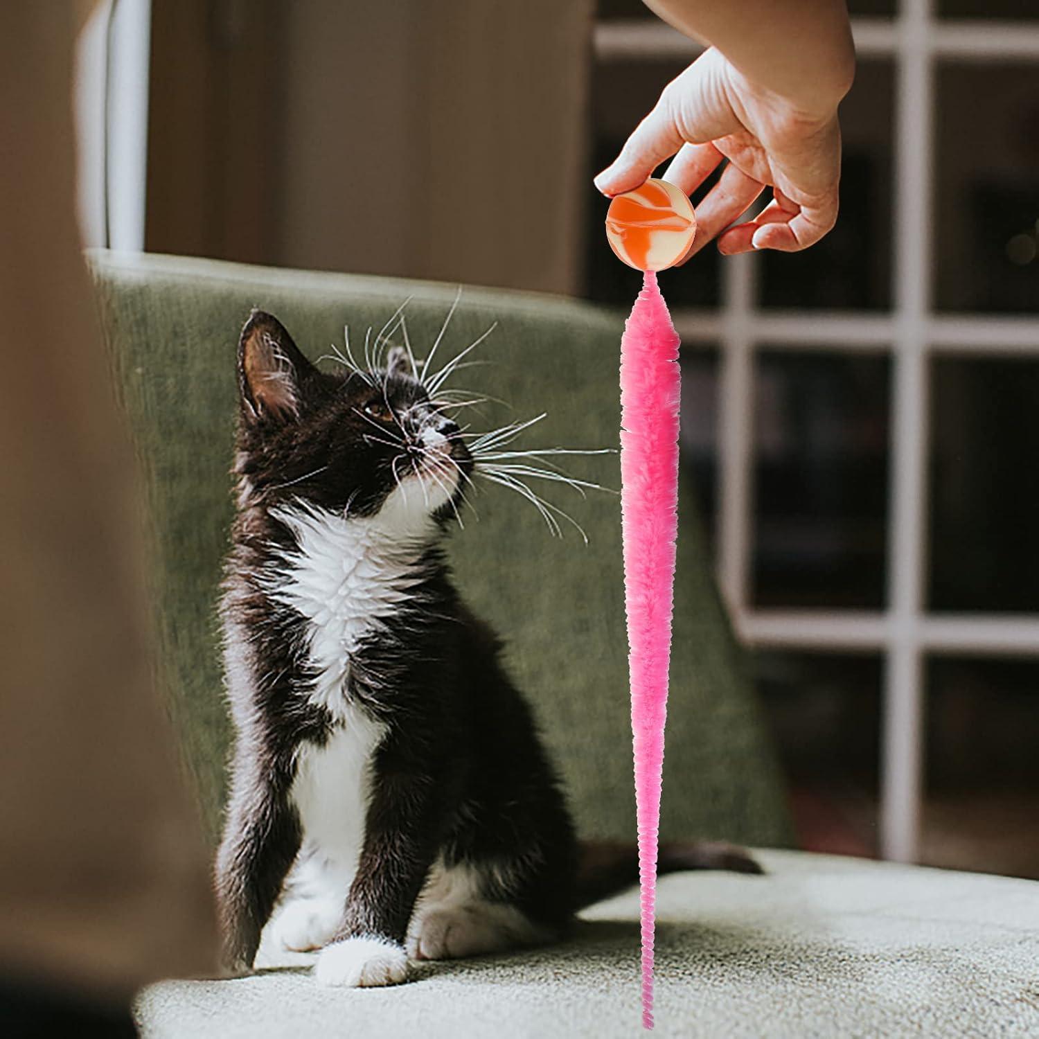 Juguete para Gatos SHENGSEN - 5 Pelotas Rebotadoras Coloridas