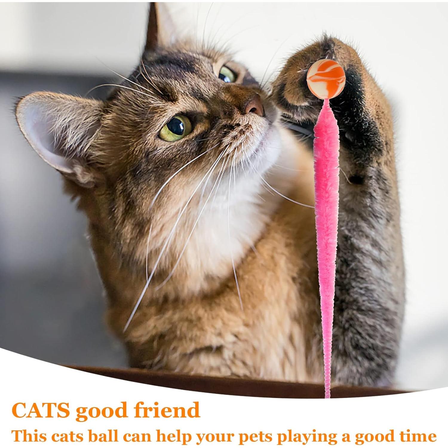 Juguete para Gatos SHENGSEN - 5 Pelotas Rebotadoras Coloridas