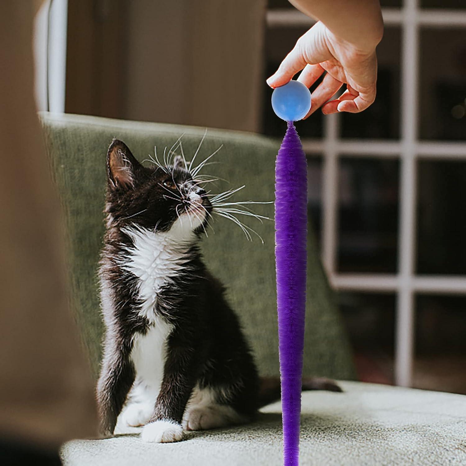 Juguete para Gatos SHENGSEN - 5 Pelotas Rebotadoras con Cola