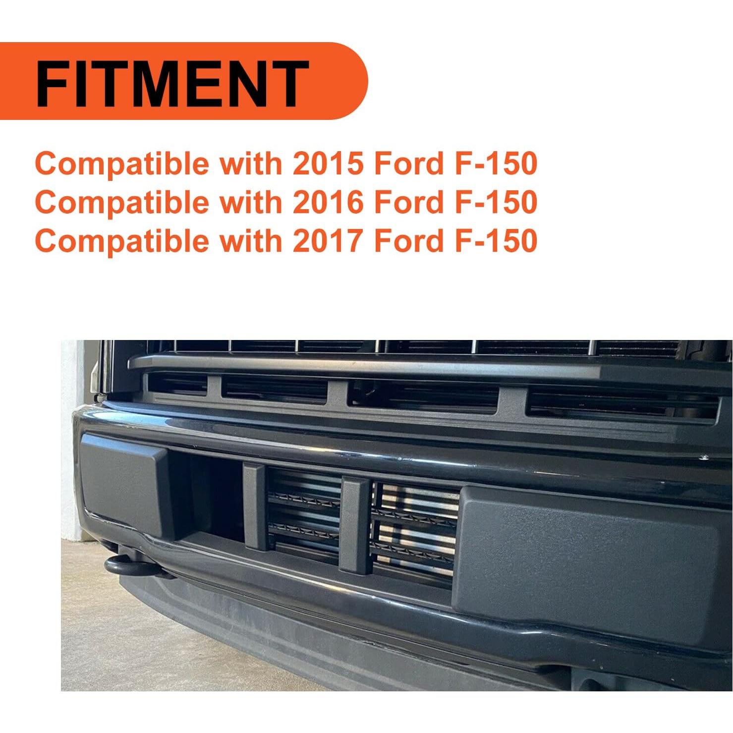 Rejilla Inferior ECOTRIC para Ford F-150 2015-2017 Negro