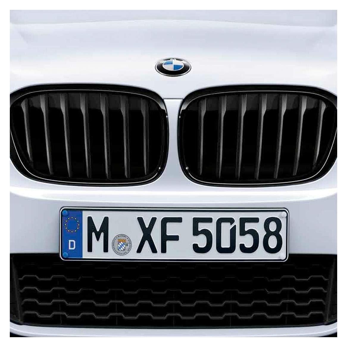 Rejilla de Riñón Brillante Negra BMW F39 X2 OEM