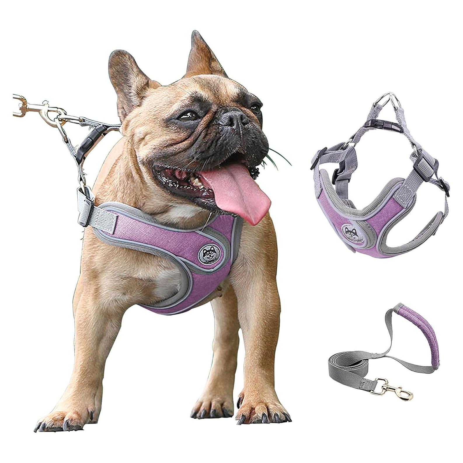 Arnés Ajustable para Perros Pequeños D.QingPei Púrpura S