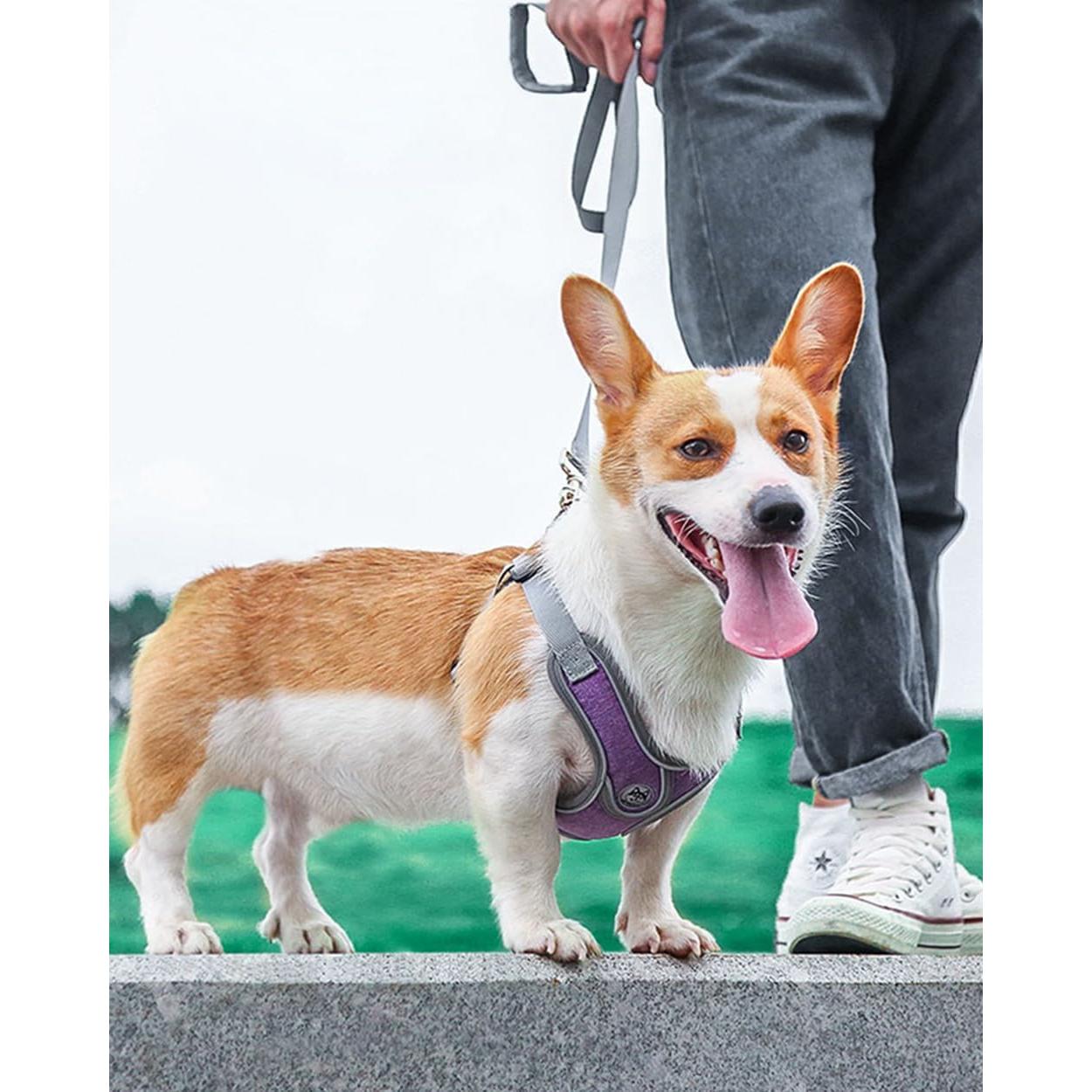 Arnés Ajustable para Perros Pequeños D.QingPei Púrpura S