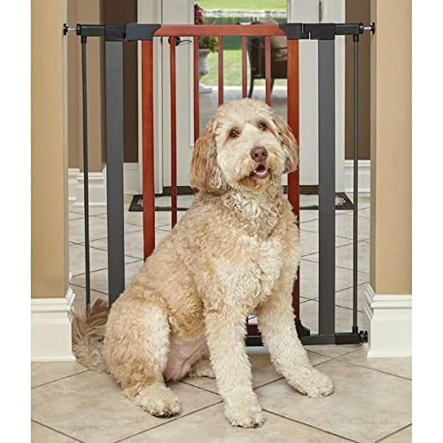 Puerta para Mascotas MidWest 39 cm Alta, Expande 96 cm
