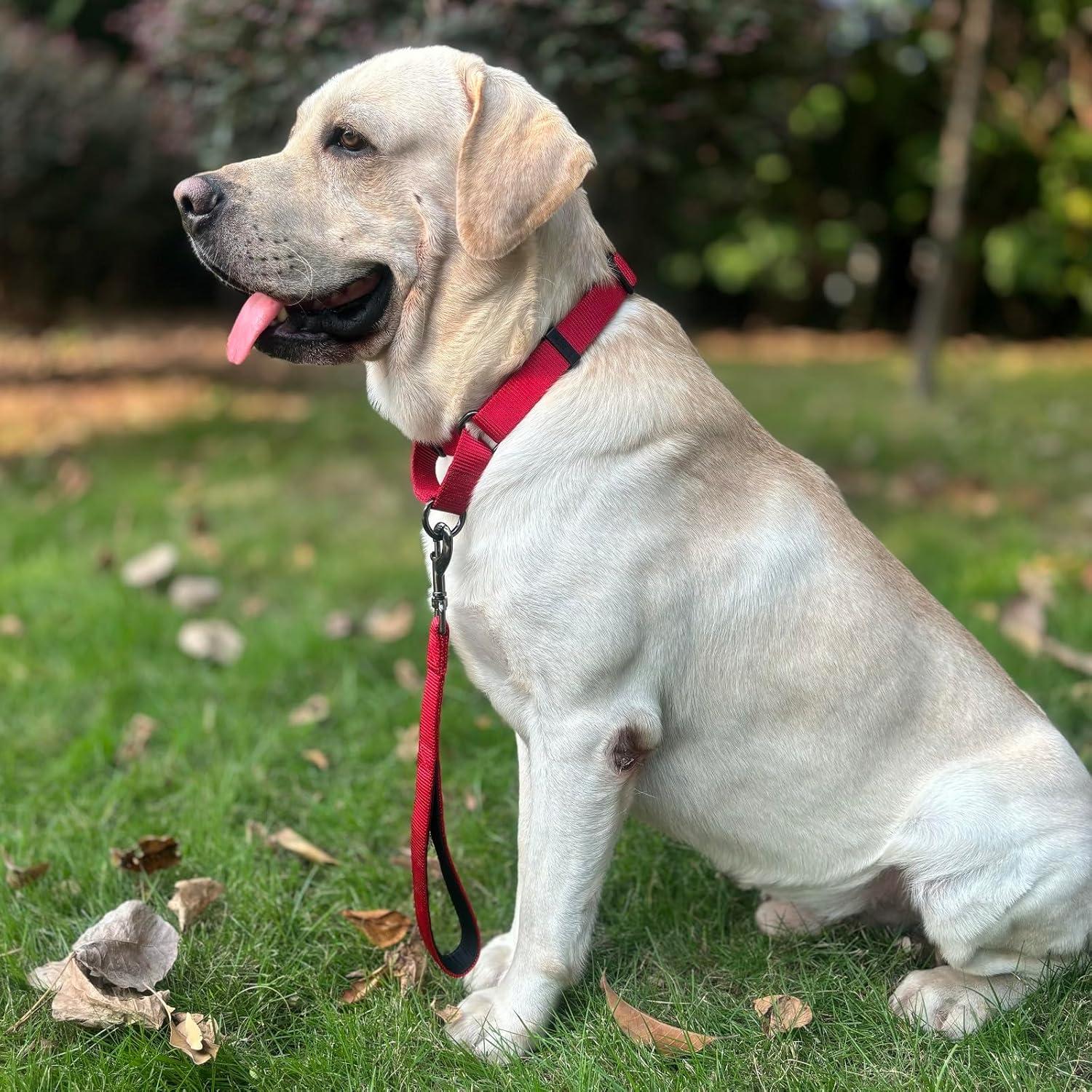 Correa corta nylon Cyclpet 30 cm clip resistente para perros