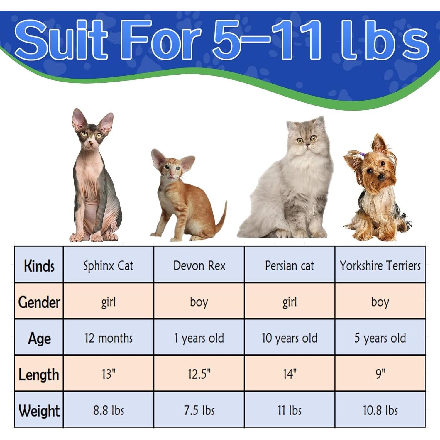 Mochila Transportín para Gatos Yanvega Tamaño M Azul