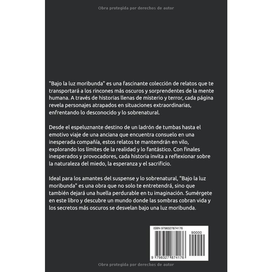 Bajo la luz moribunda (Laberinto de Historias) (Spanish Edition)