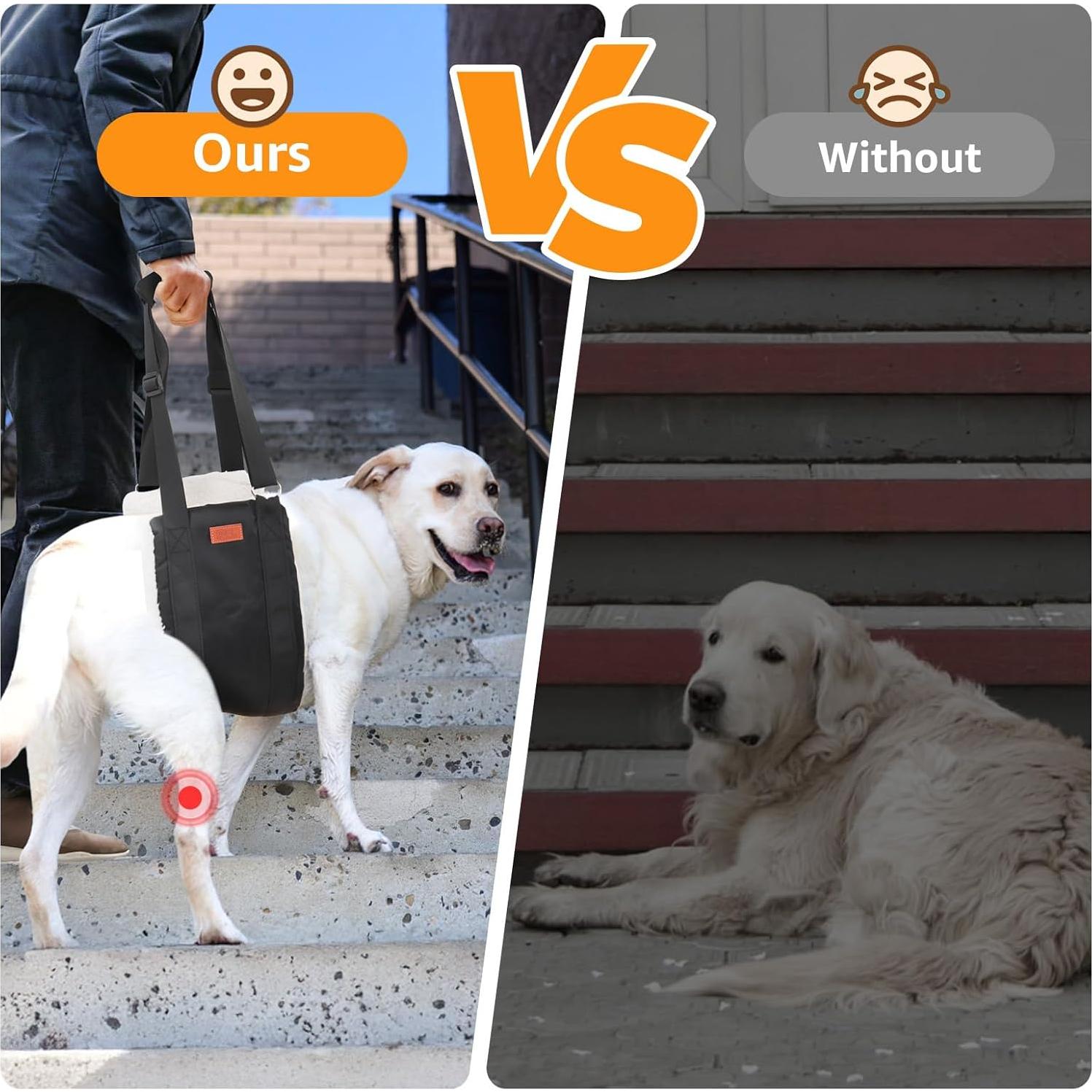 Arnés Elevador para Perros PICK FOR LIFE Grande Negro