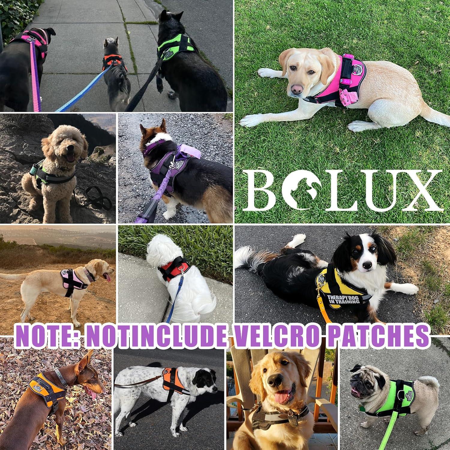 Arnés para Perros Bolux Mediano Lavanda Ajustable Reflectante