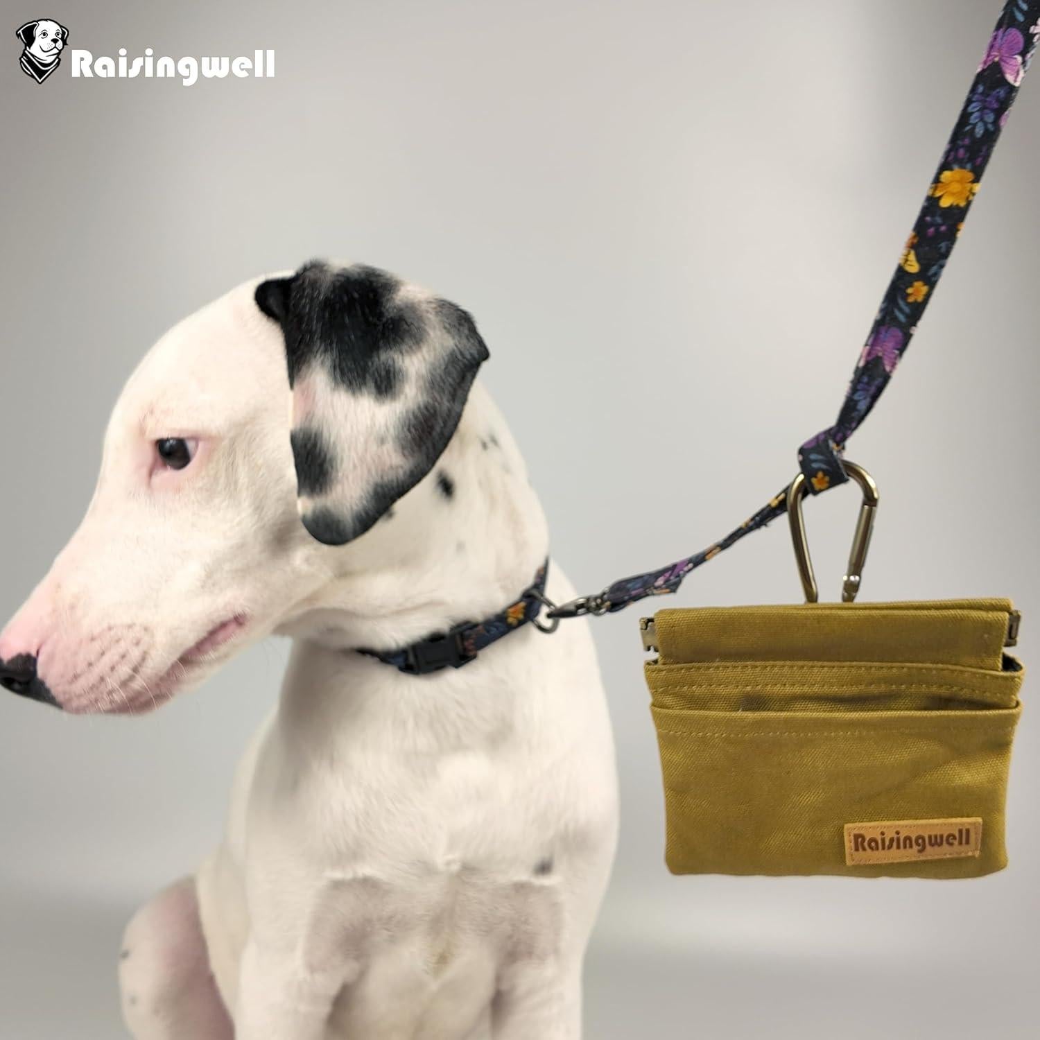 Bolsa de golosinas para perros Raisingwell DTP marrón