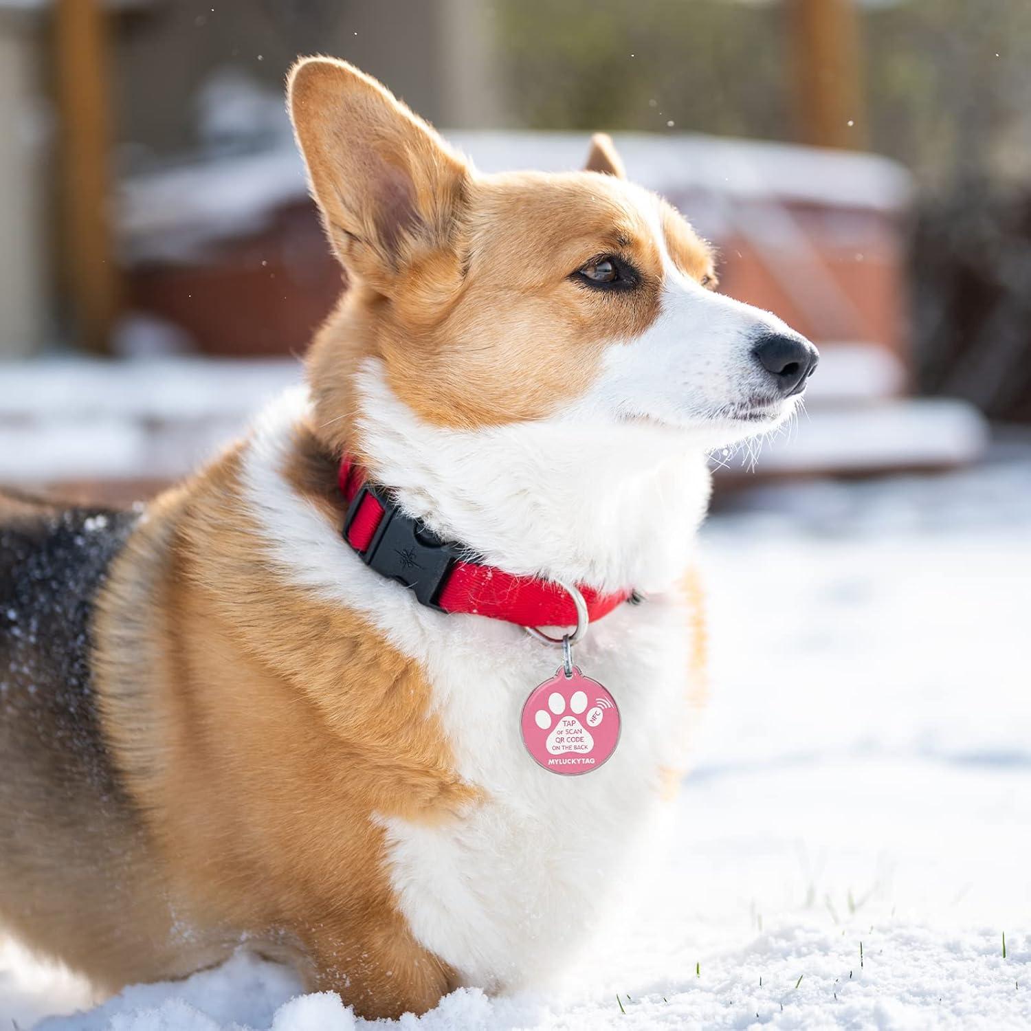 Etiqueta Inteligente MYLUCKYTAG NFC y QR para Mascotas