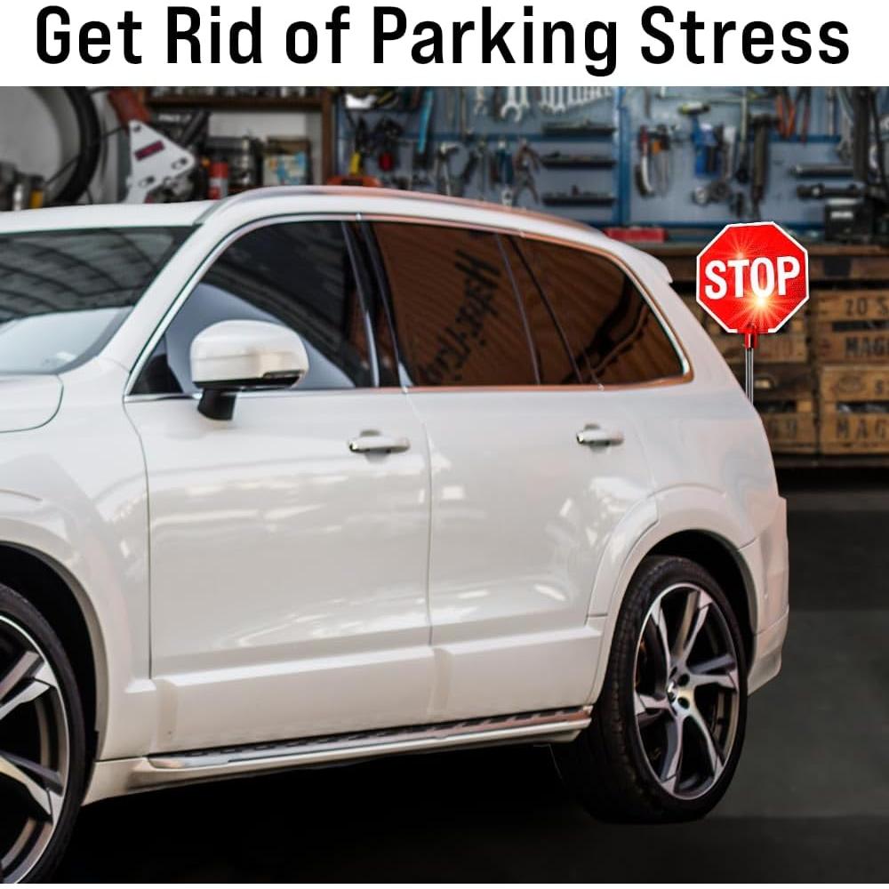 Asistente de Estacionamiento Cobra Tuning LED Intermitente