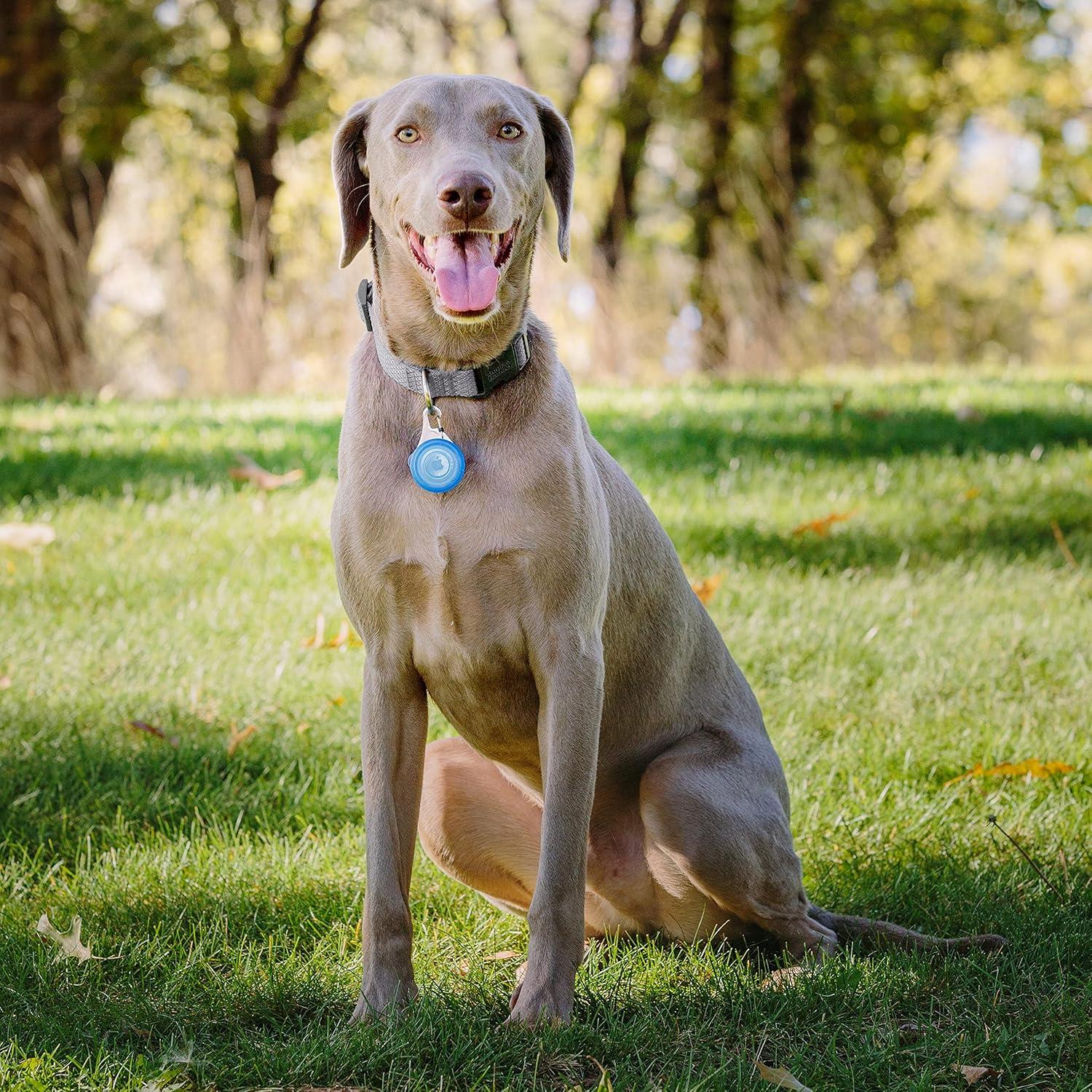 Soporte Nite Ize WearAbout para Apple AirTag - Azul