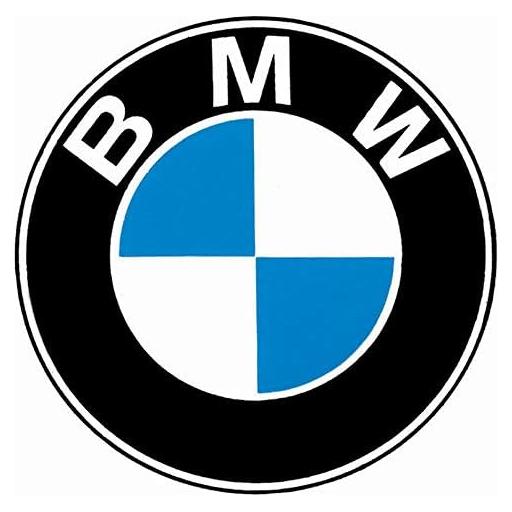 O-ring de riel de combustible BMW OEM 13641437487