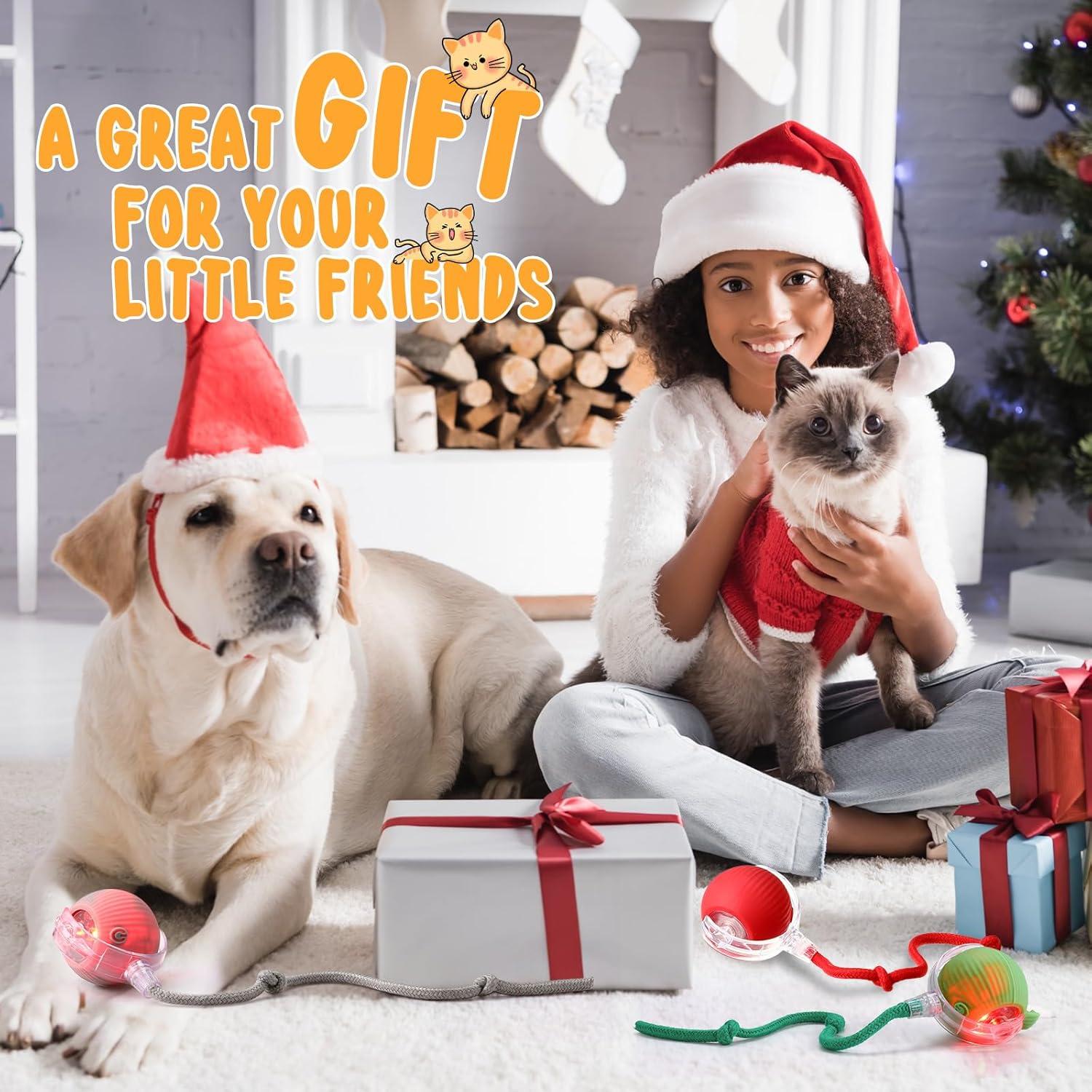 Paquete de 6 Juguetes Interactivos para Gatos WinnerWhy