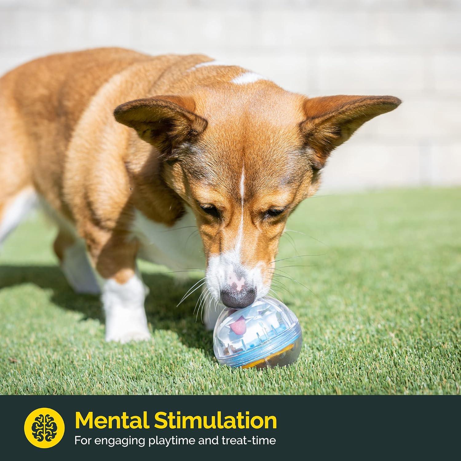 Pelota Interactiva Pet Zone IQ Treat Ball - 7,62 cm Dispensador