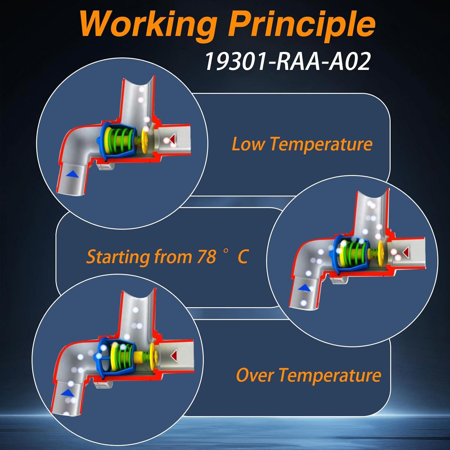 Conjunto termostato refrigerante FUSCH para Honda Accord 2.4L