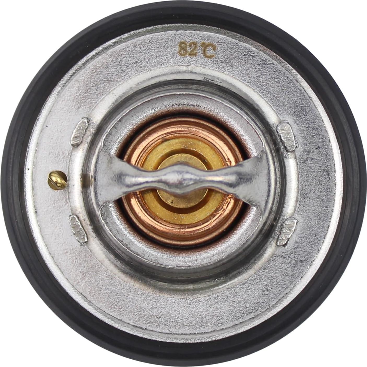 Termostato de Refrigerante DriveFix F6AZ-8575-AA para Ford