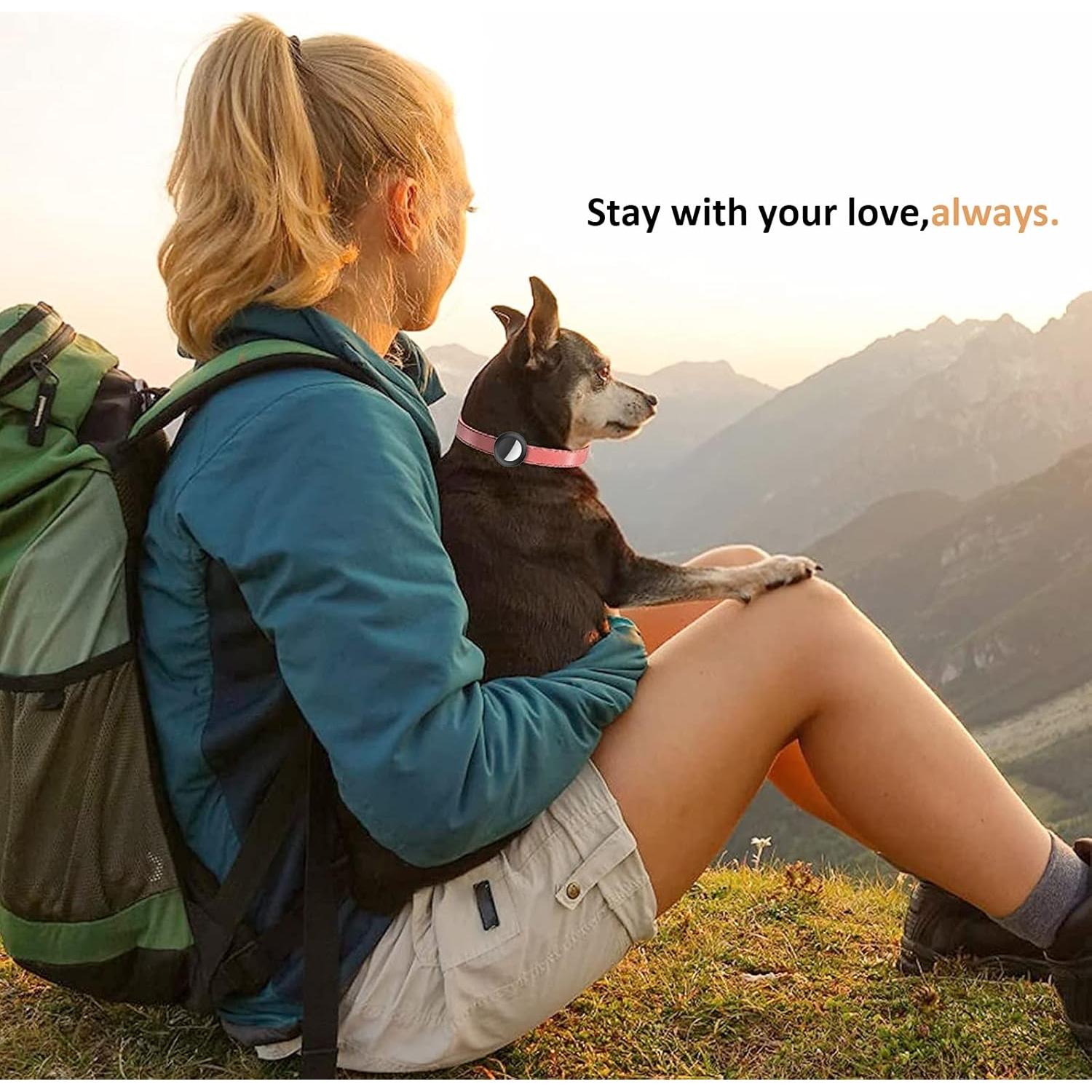 Soporte para Collar de Airtag SimpleThings, Silicona 2 Pzs