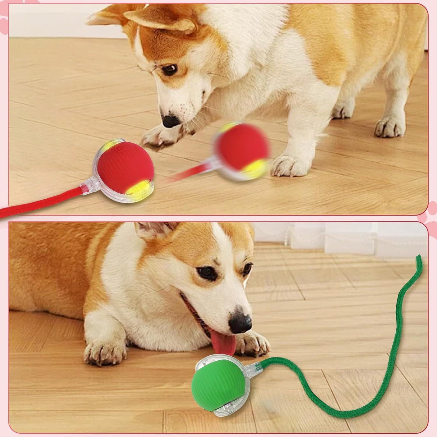 Pelota Interactiva para Perros y Gatos Poxtedsr 3 Pcs