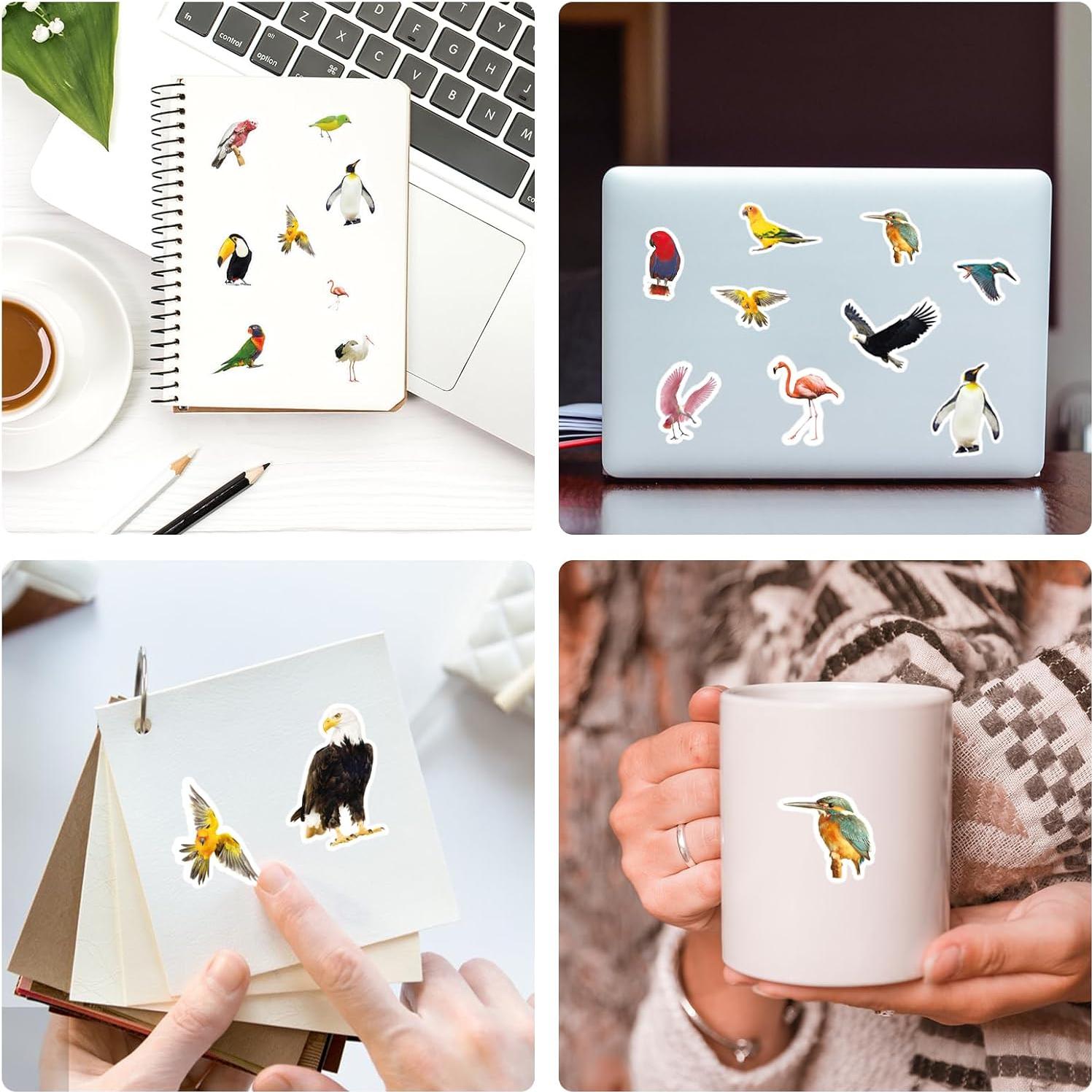 Pegatinas de Aves Genérico 850 Piezas Tropicales
